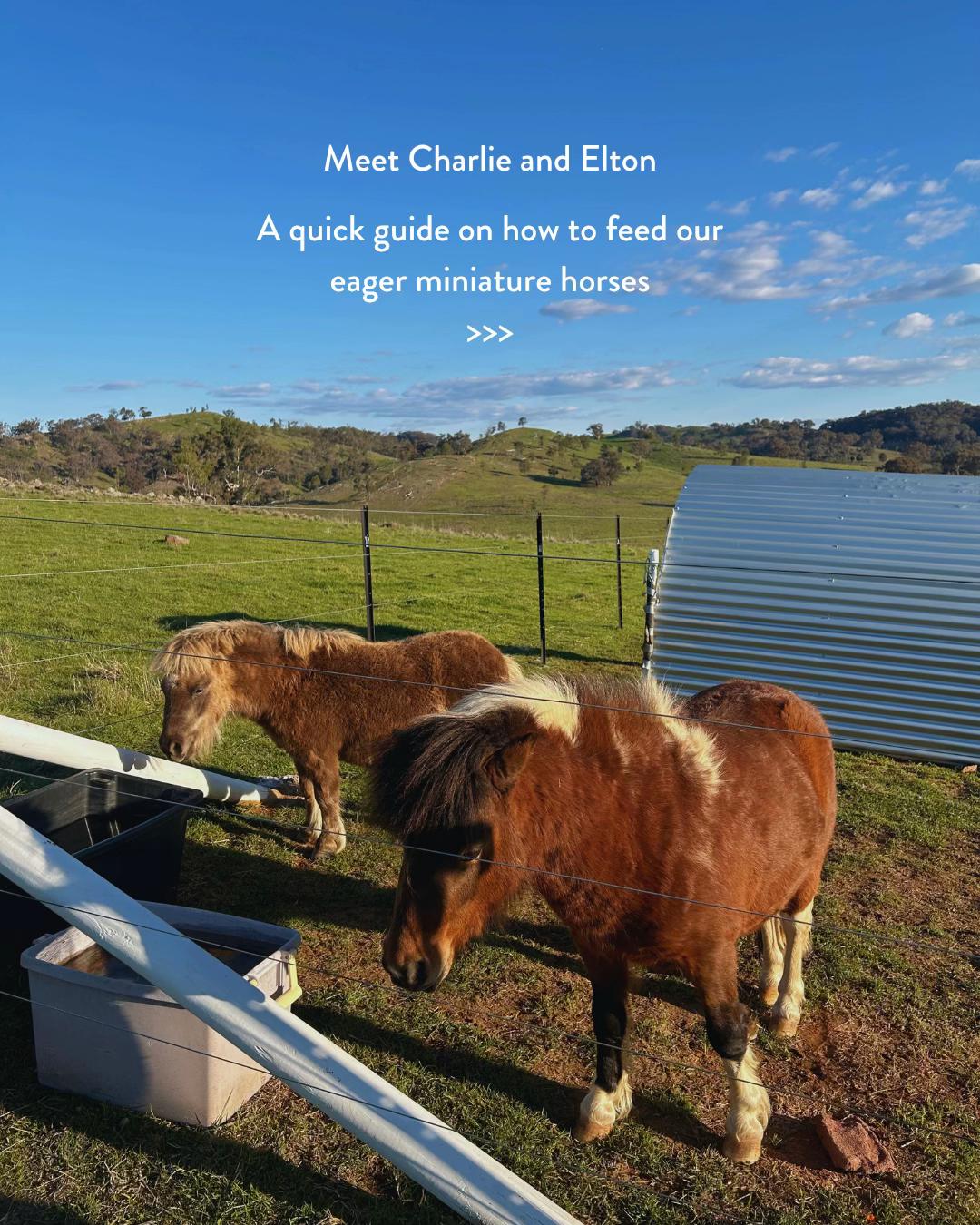 @Sierra Escape Mudgee NSW