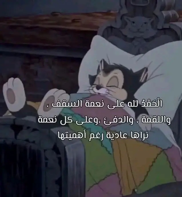 @Qarim 🇩🇿
