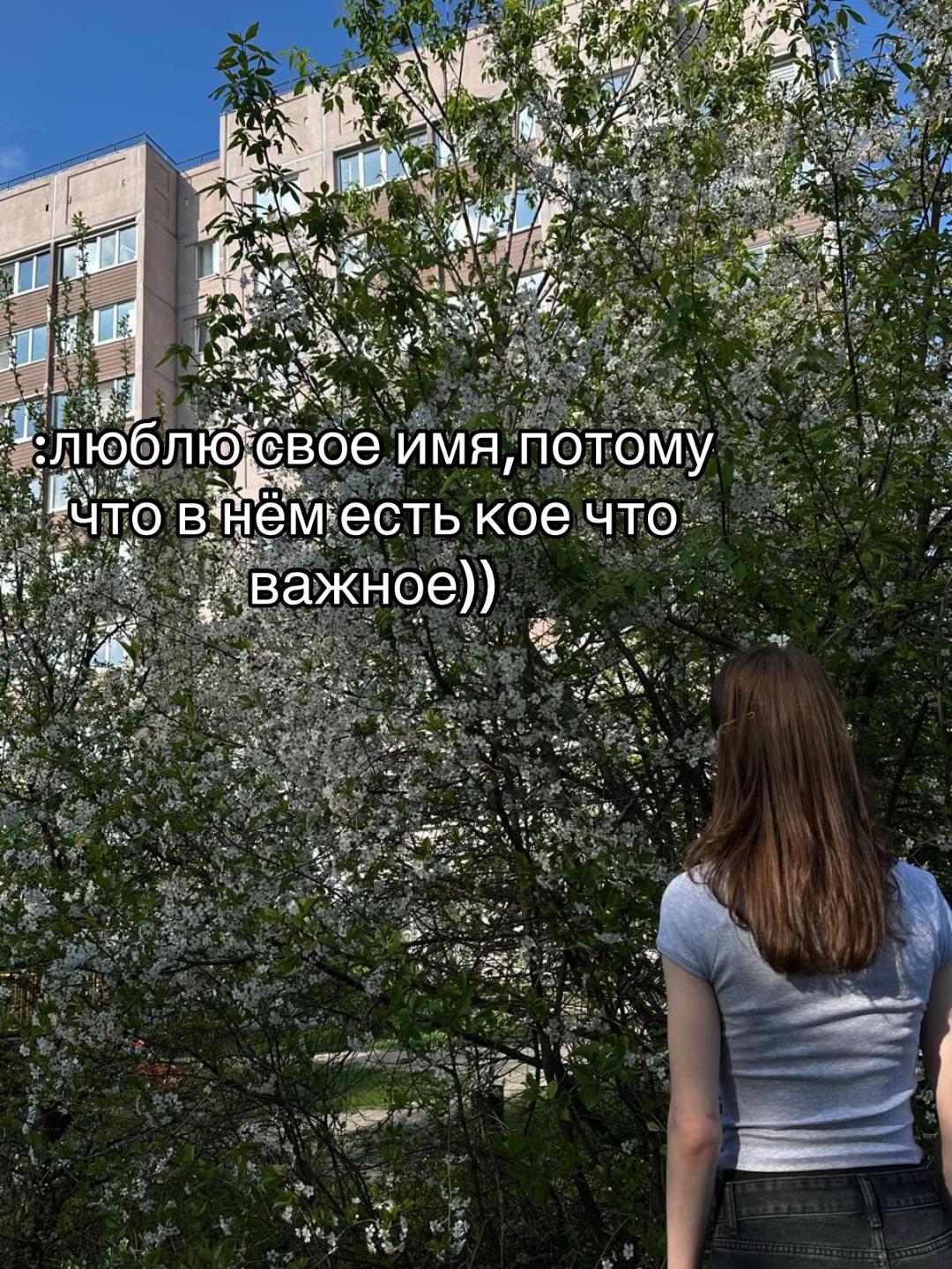 @evangelion