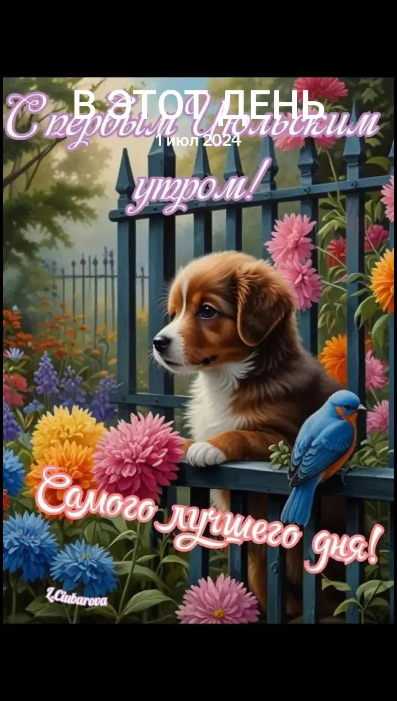 @galina56is