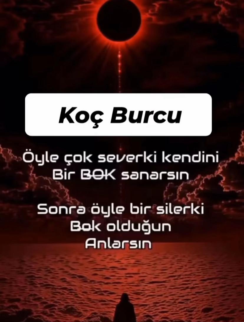 @kocburcu6