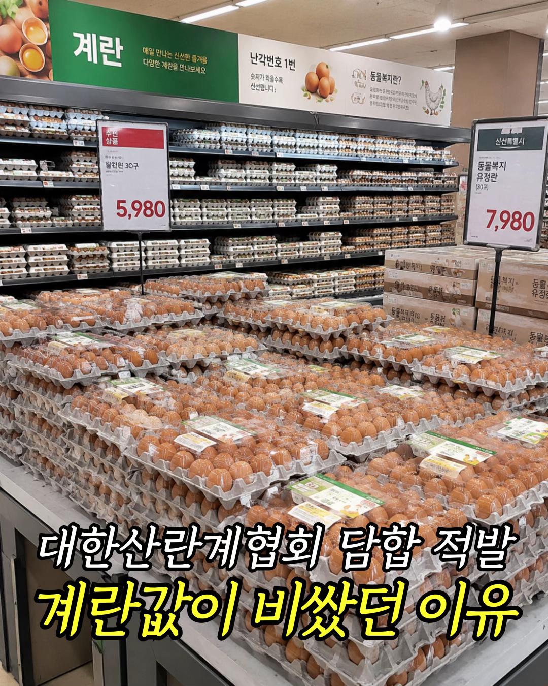 @먹기용