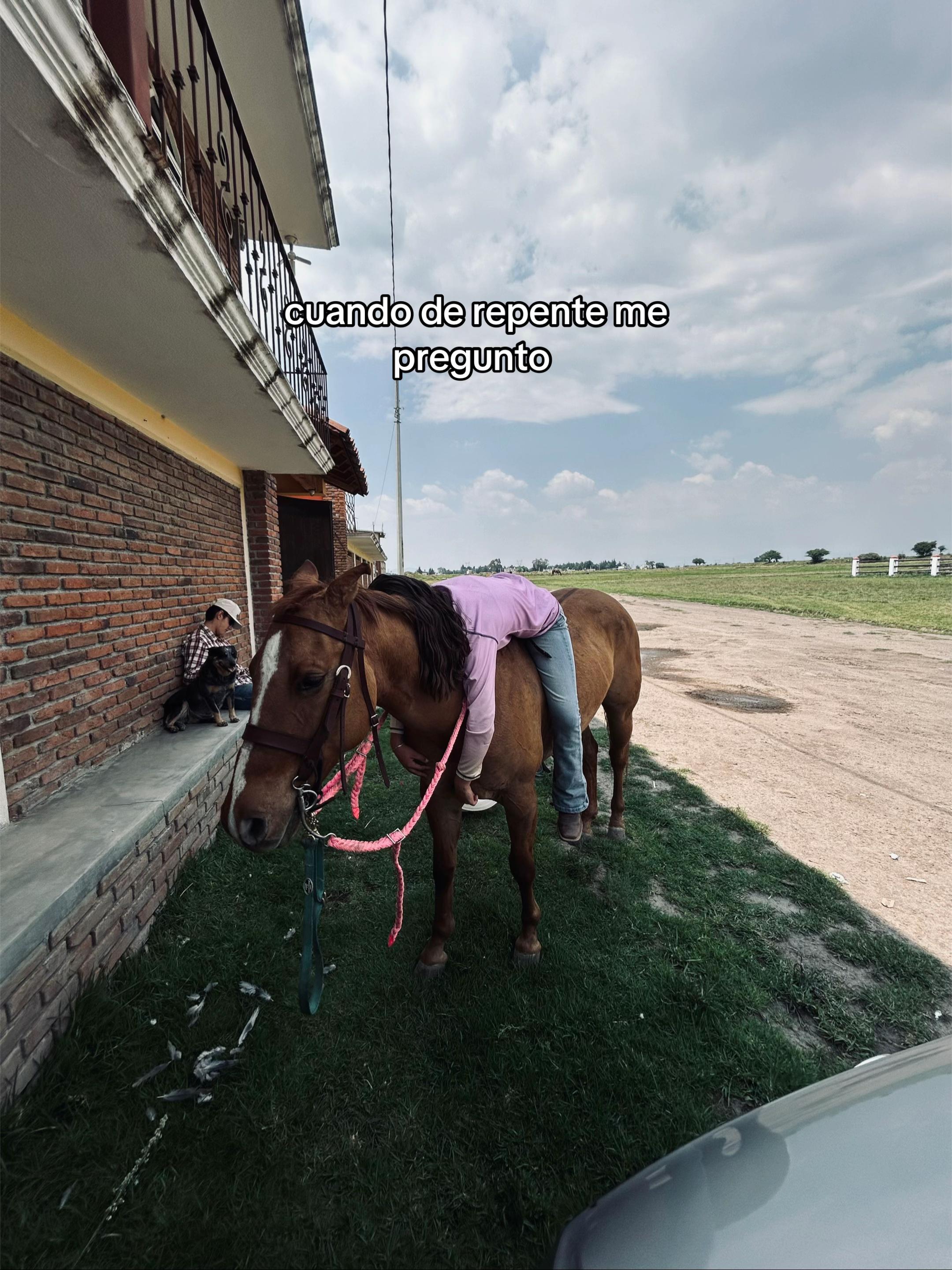 @majo