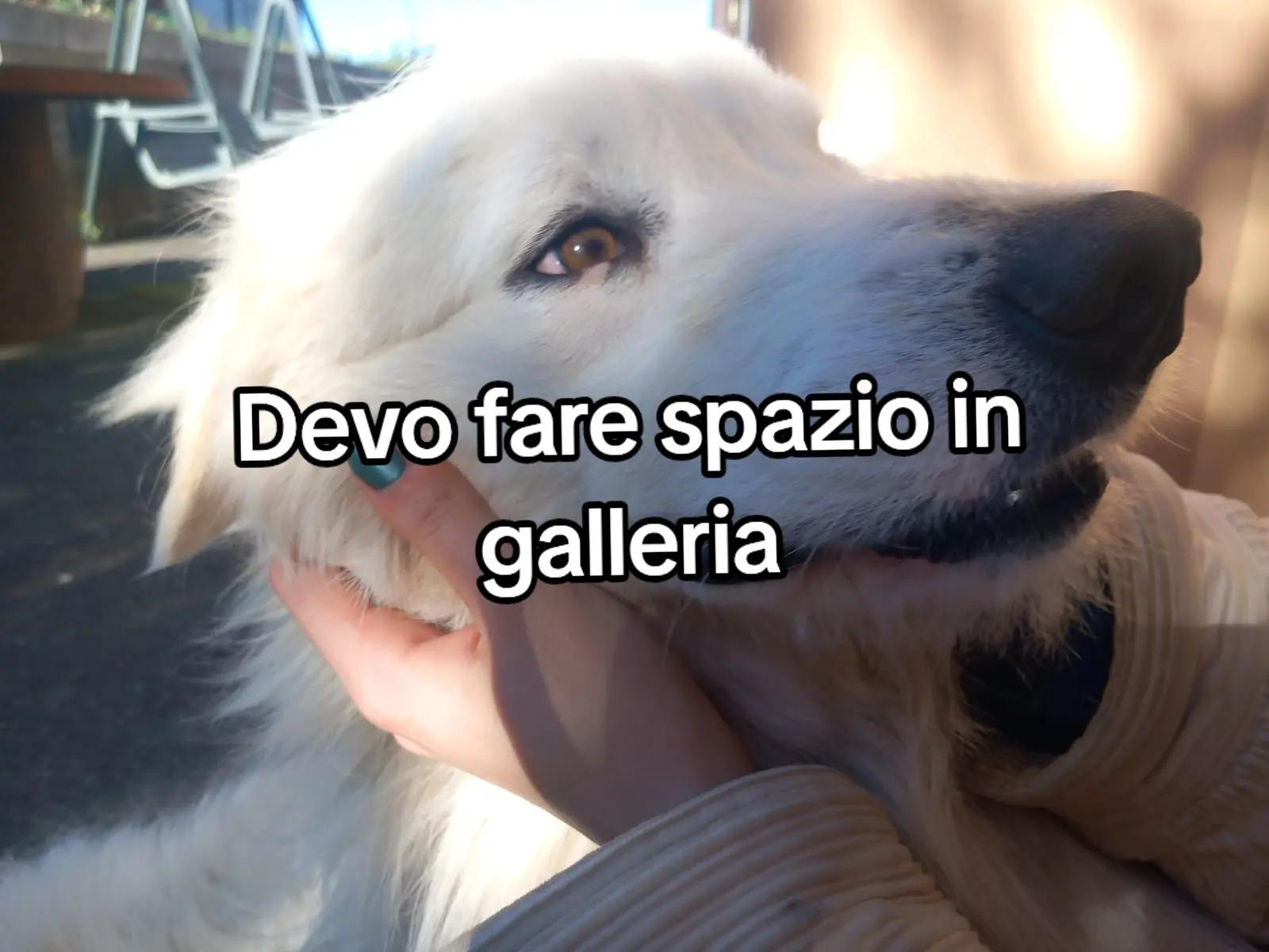 @Milie