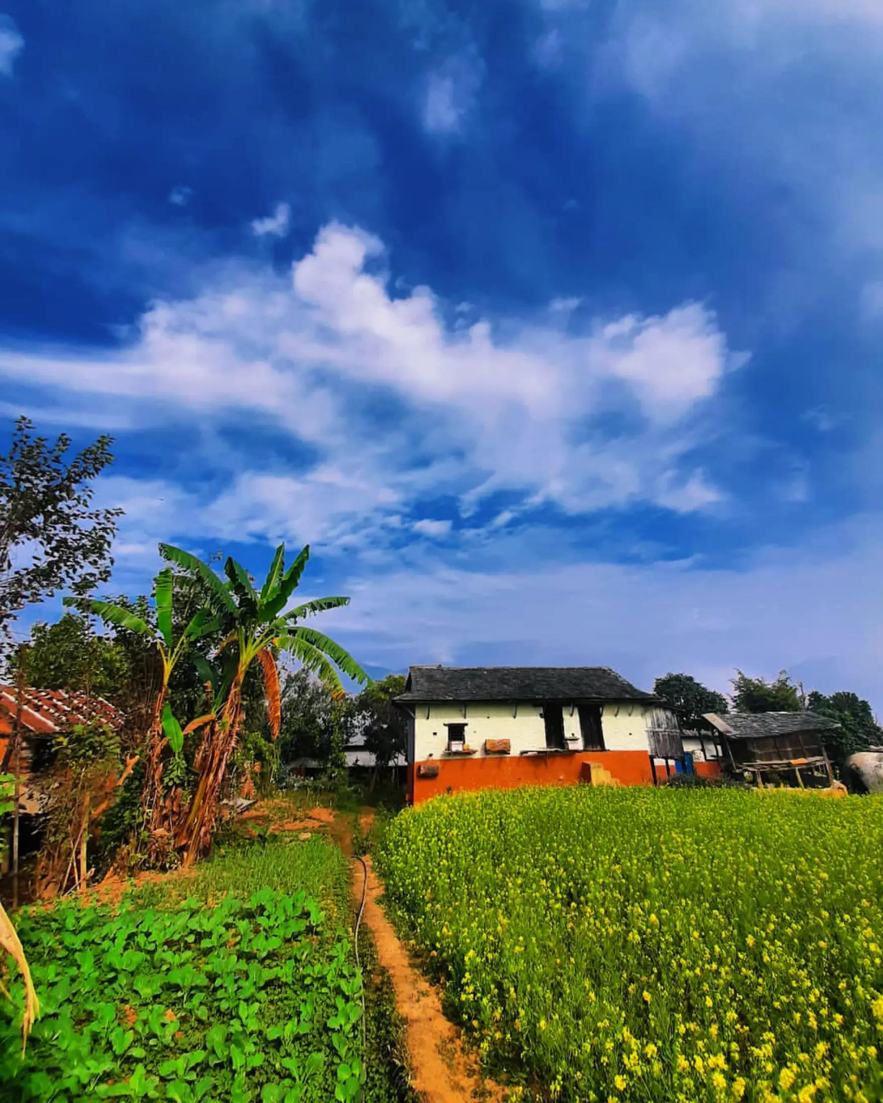 @ᴶᵃᶜᵏSᴘᴀʀʀow★