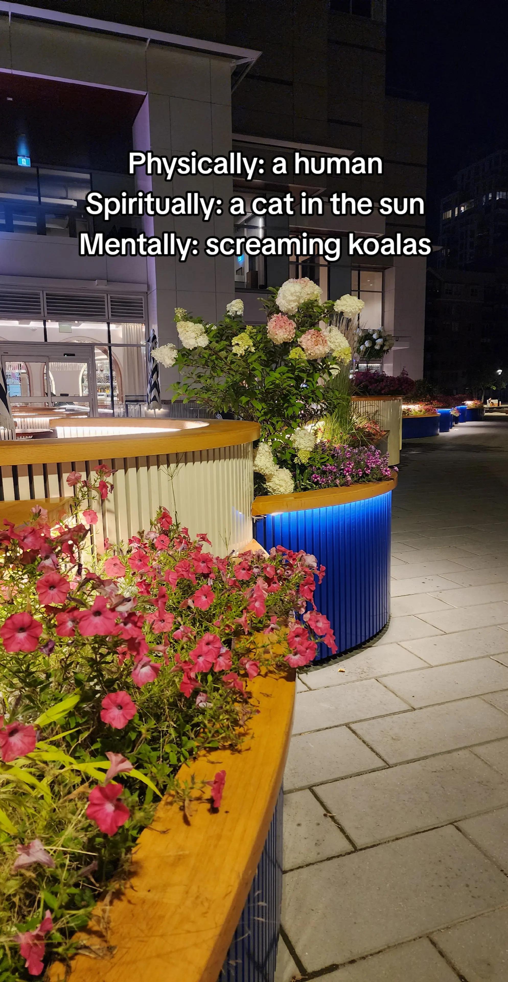 @Just Krystal