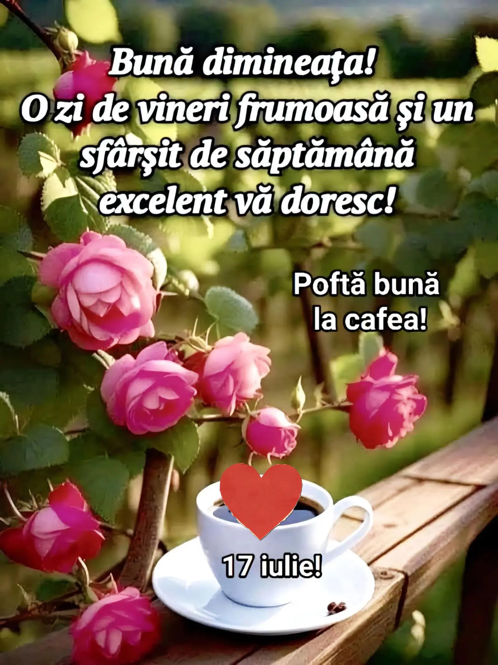 @Iulian Filiuta