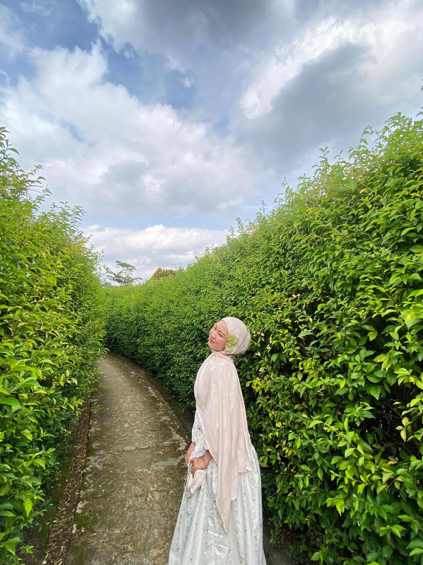 @⋆.˚࿔ amaaa 𝜗𝜚˚⋆
