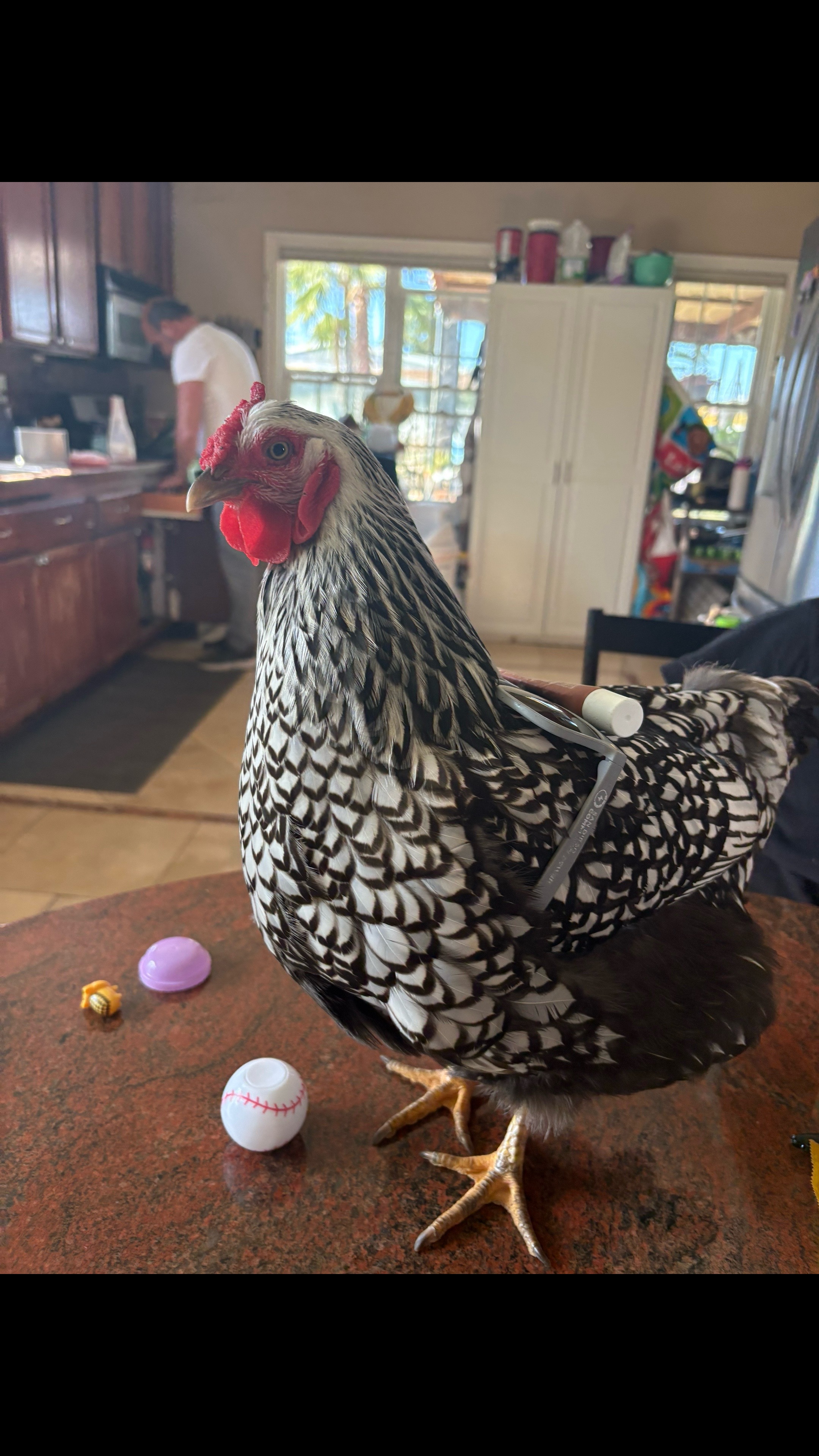 @Seven_mightyhens