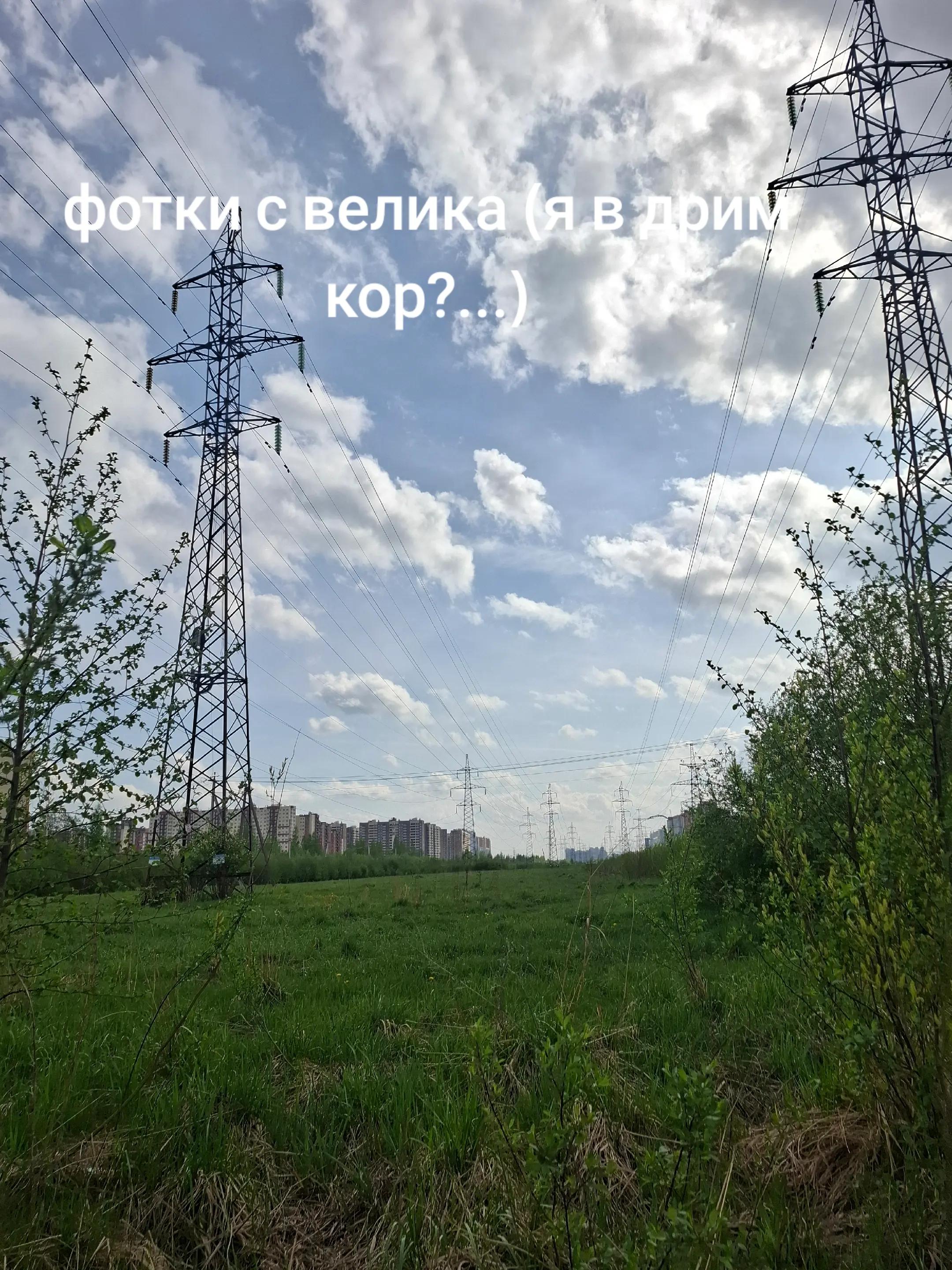 @хомяк | гыф гыф