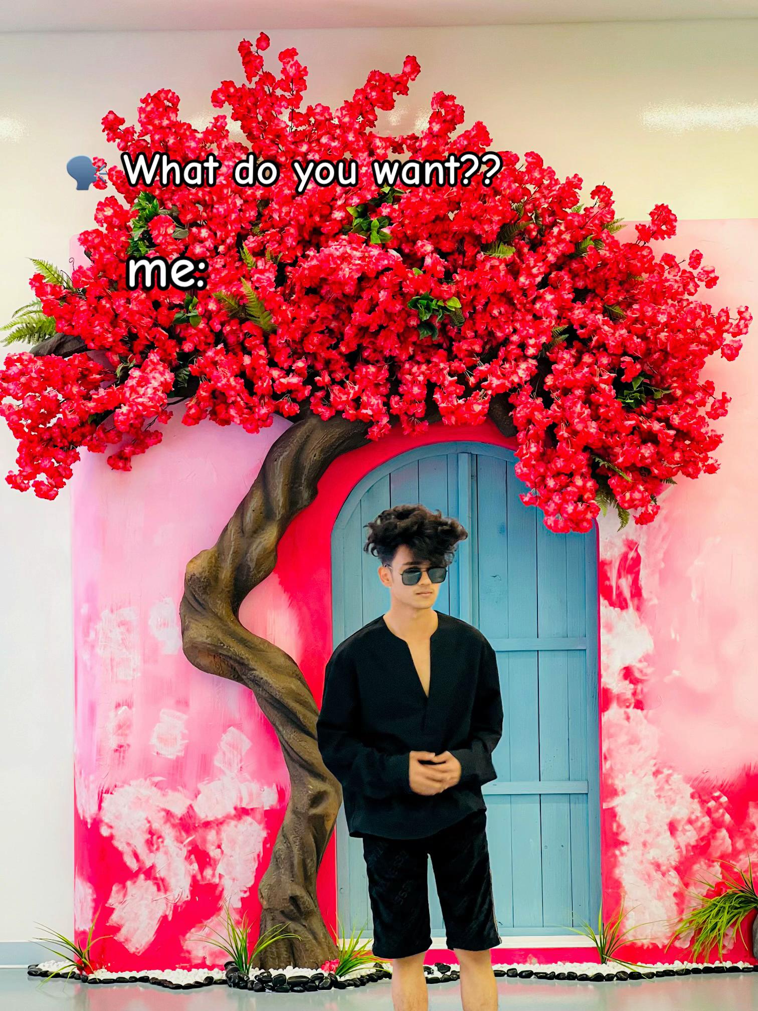 @🦋 Z I H A D 🦋