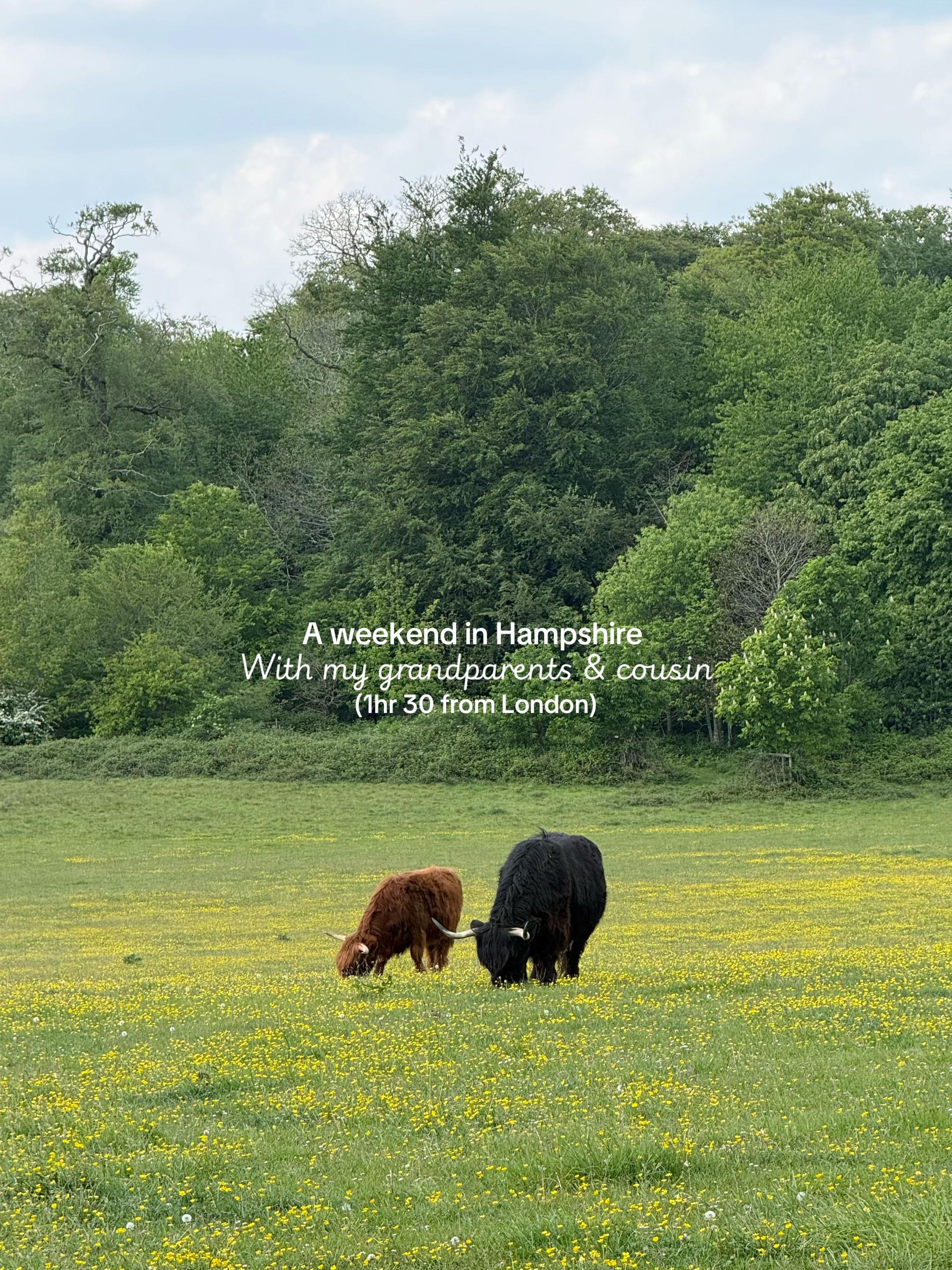 @Luci