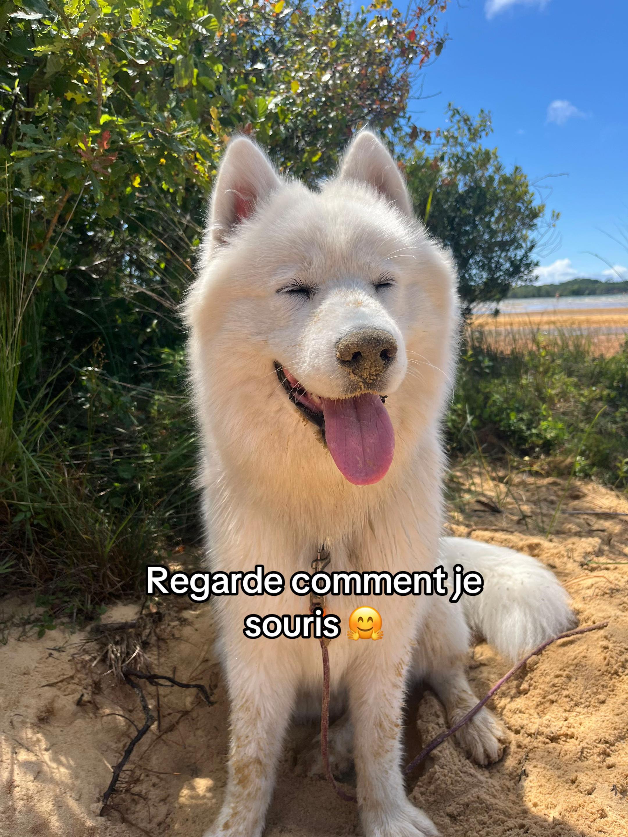 @Morgane