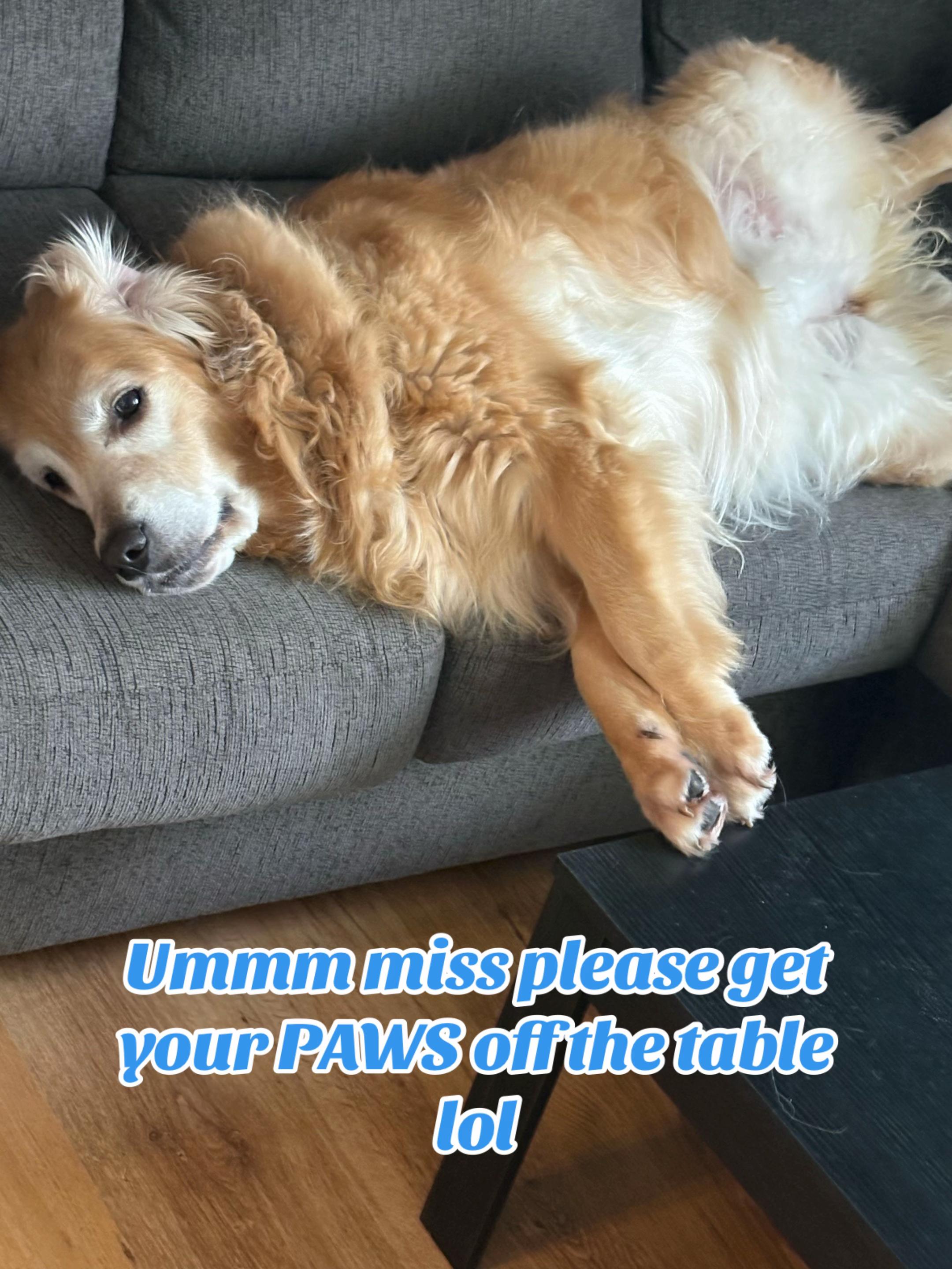 @Cat