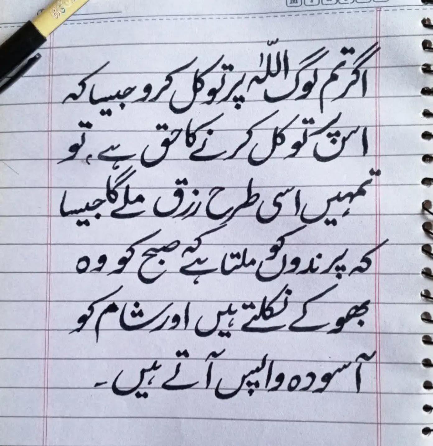 @quratulain hammad