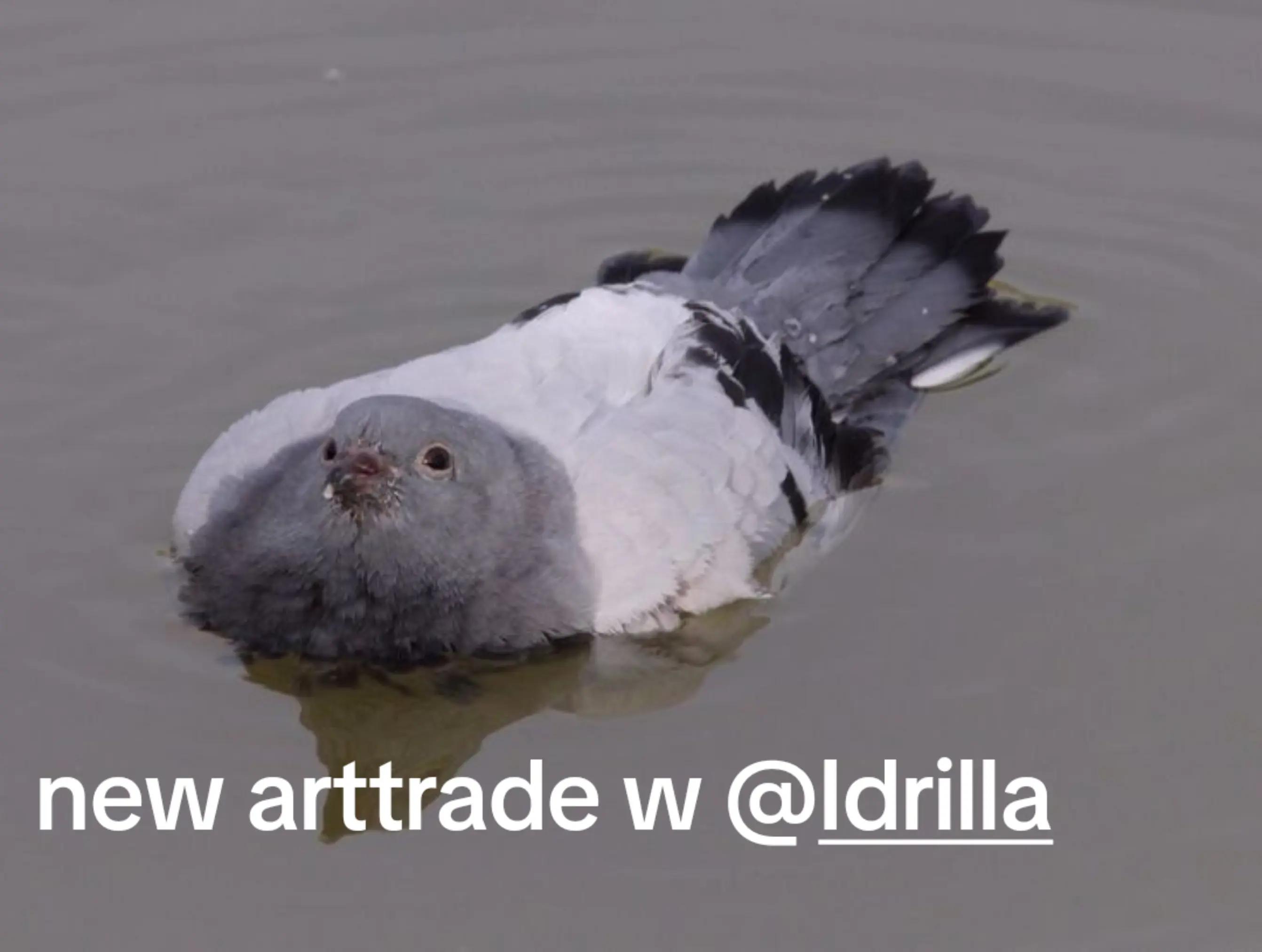 @Rudo is my adoptive son