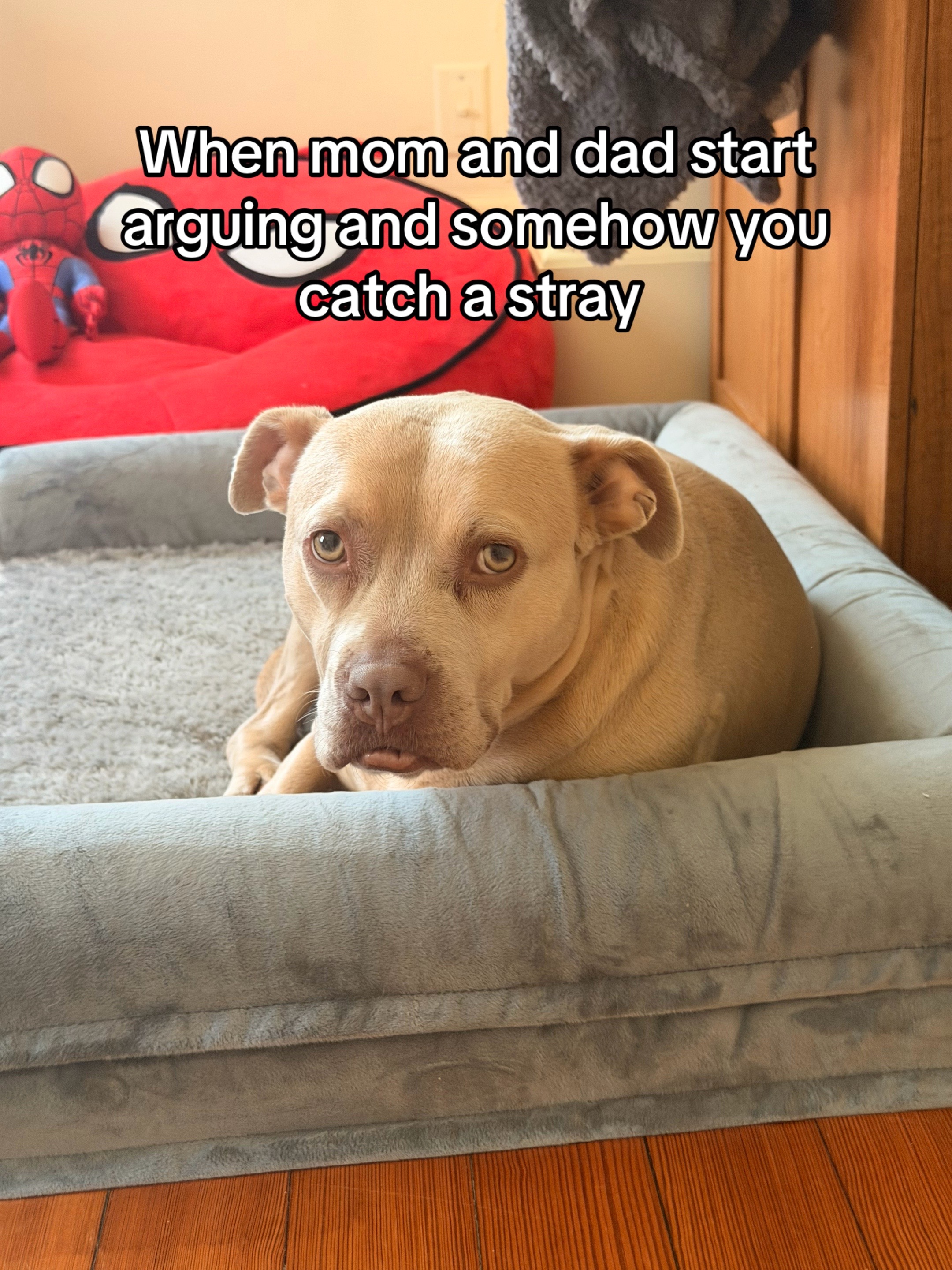 @lifewithsierralee