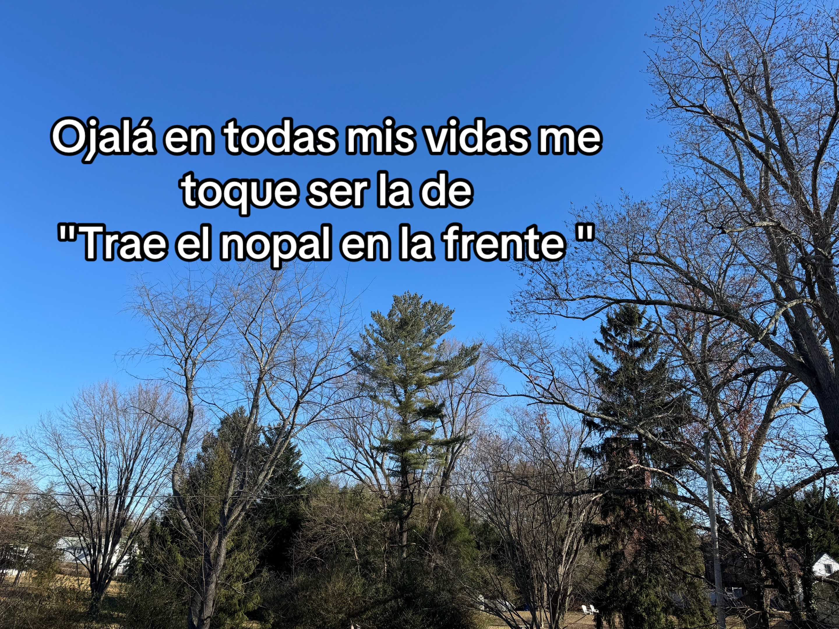 @Lorena Tolentino
