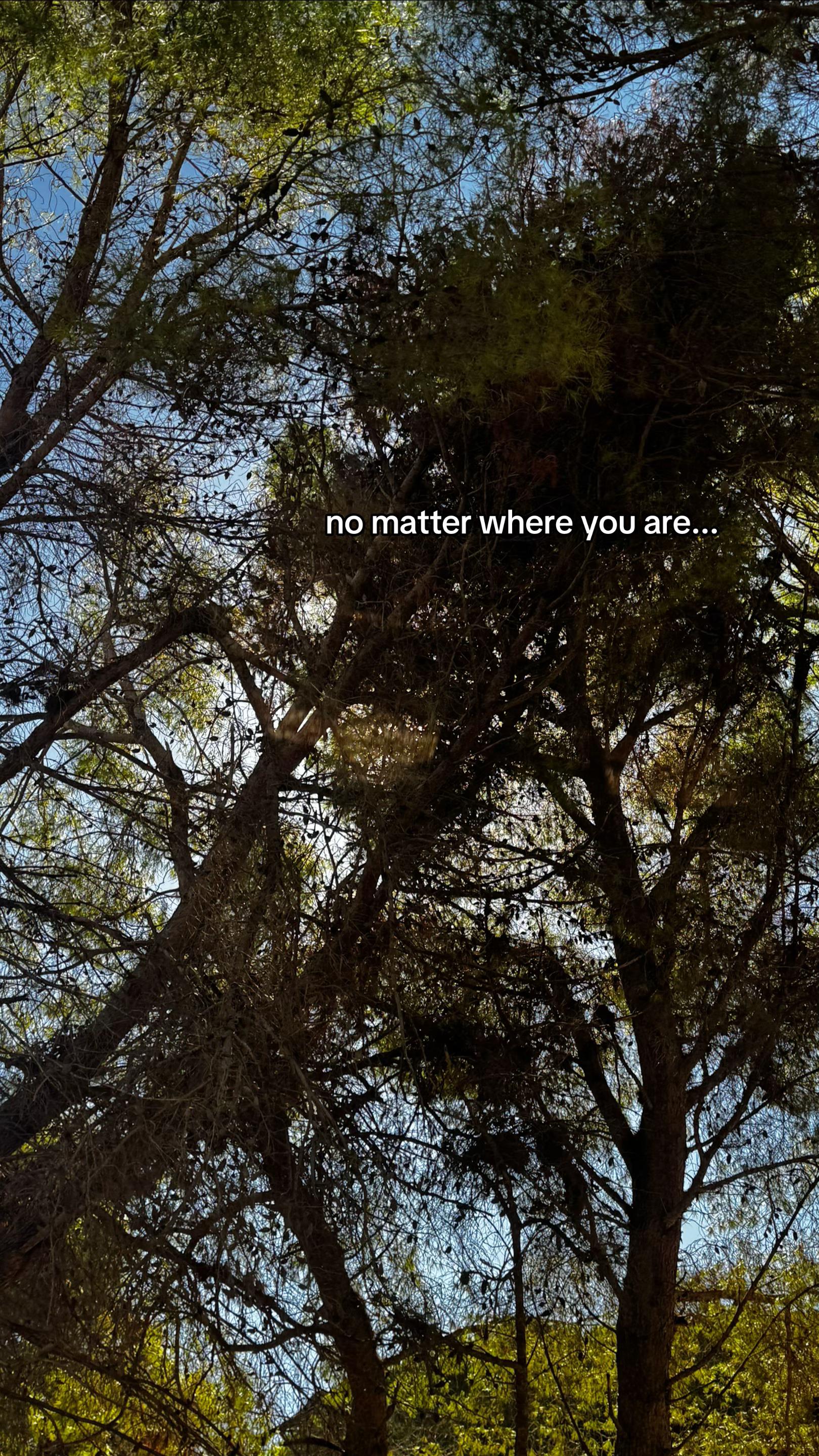 @𝒜