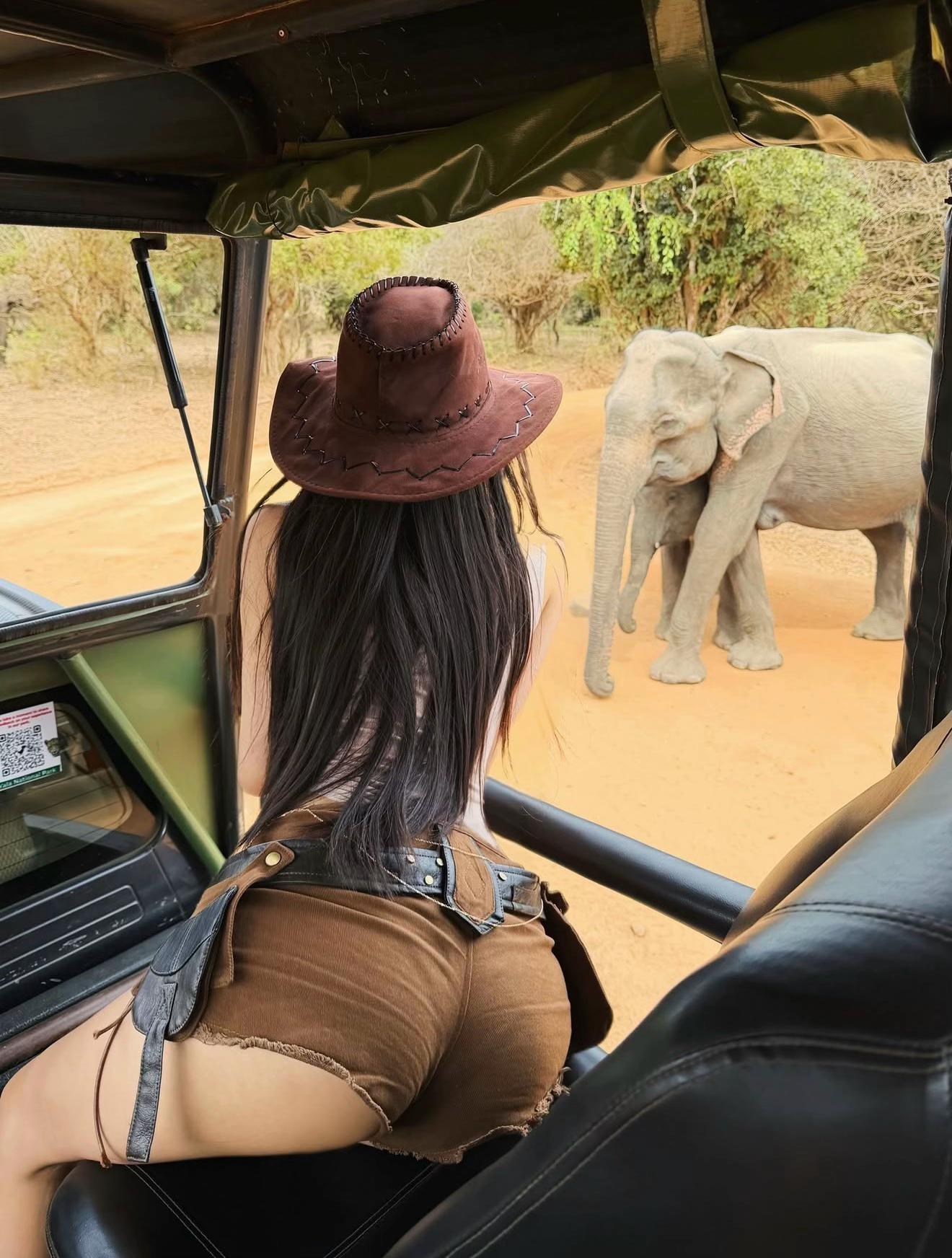 @Monkey Tours Sri Lanka