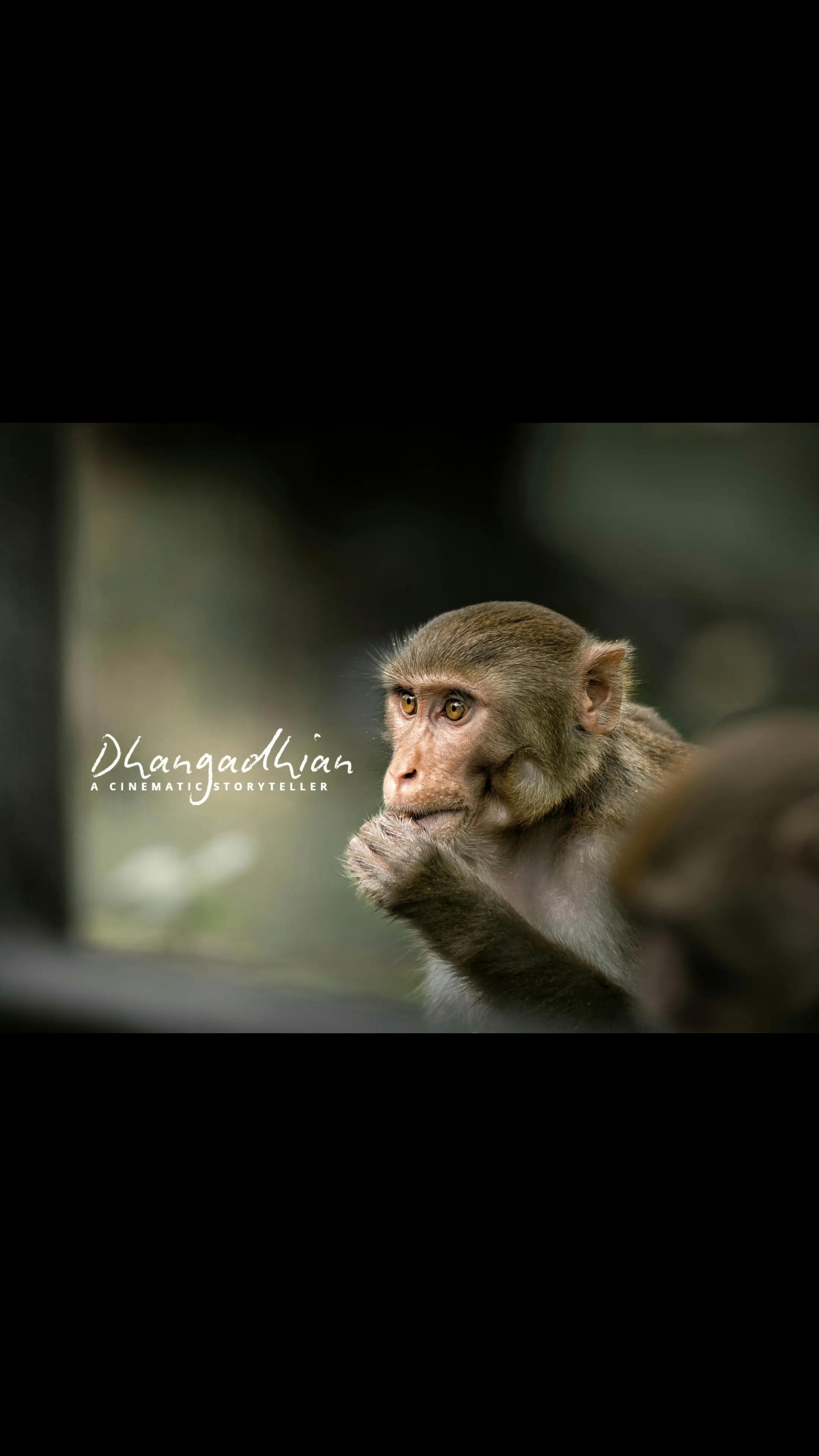 @Dhangadhian