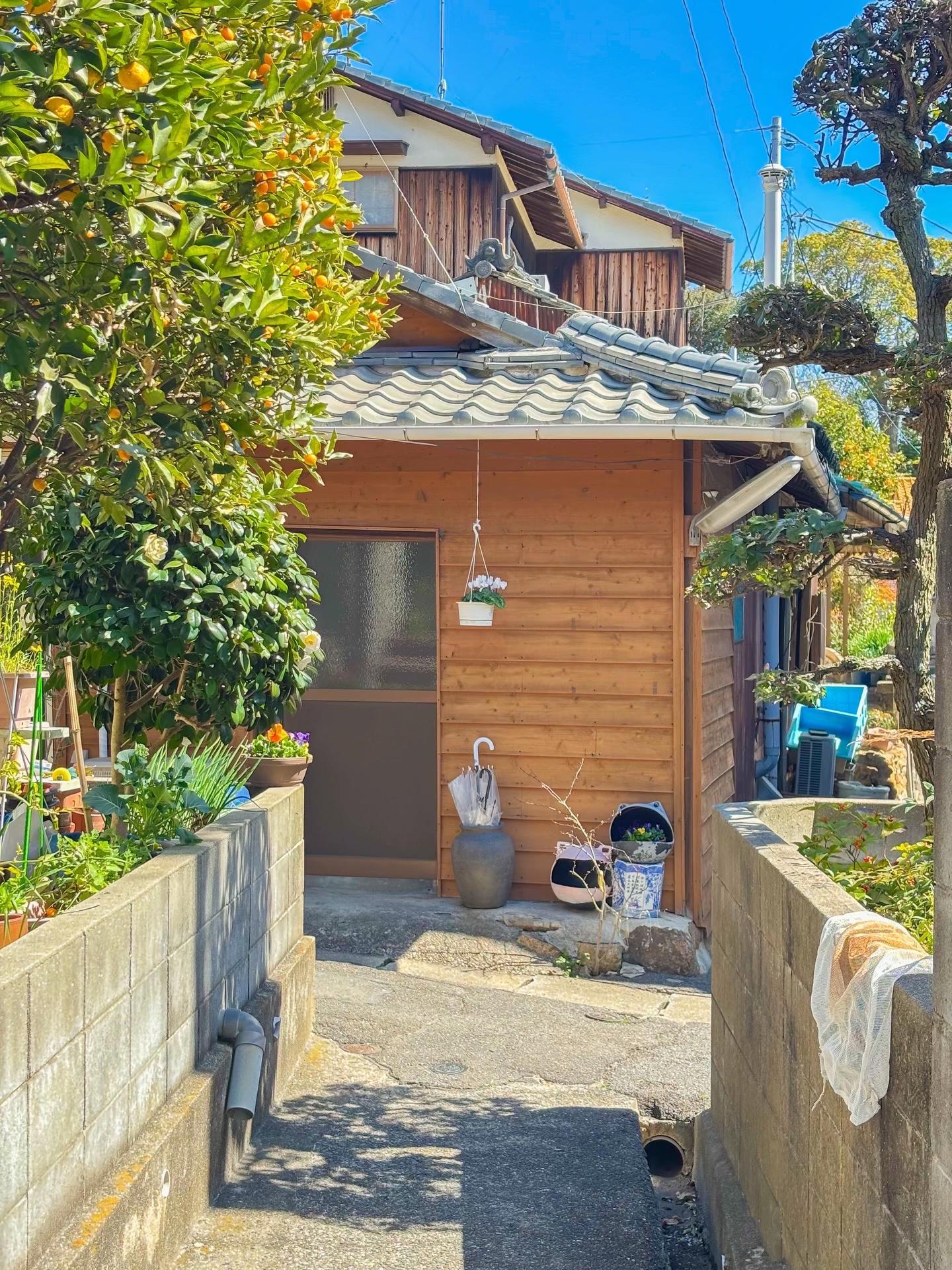 @とらのぽいち