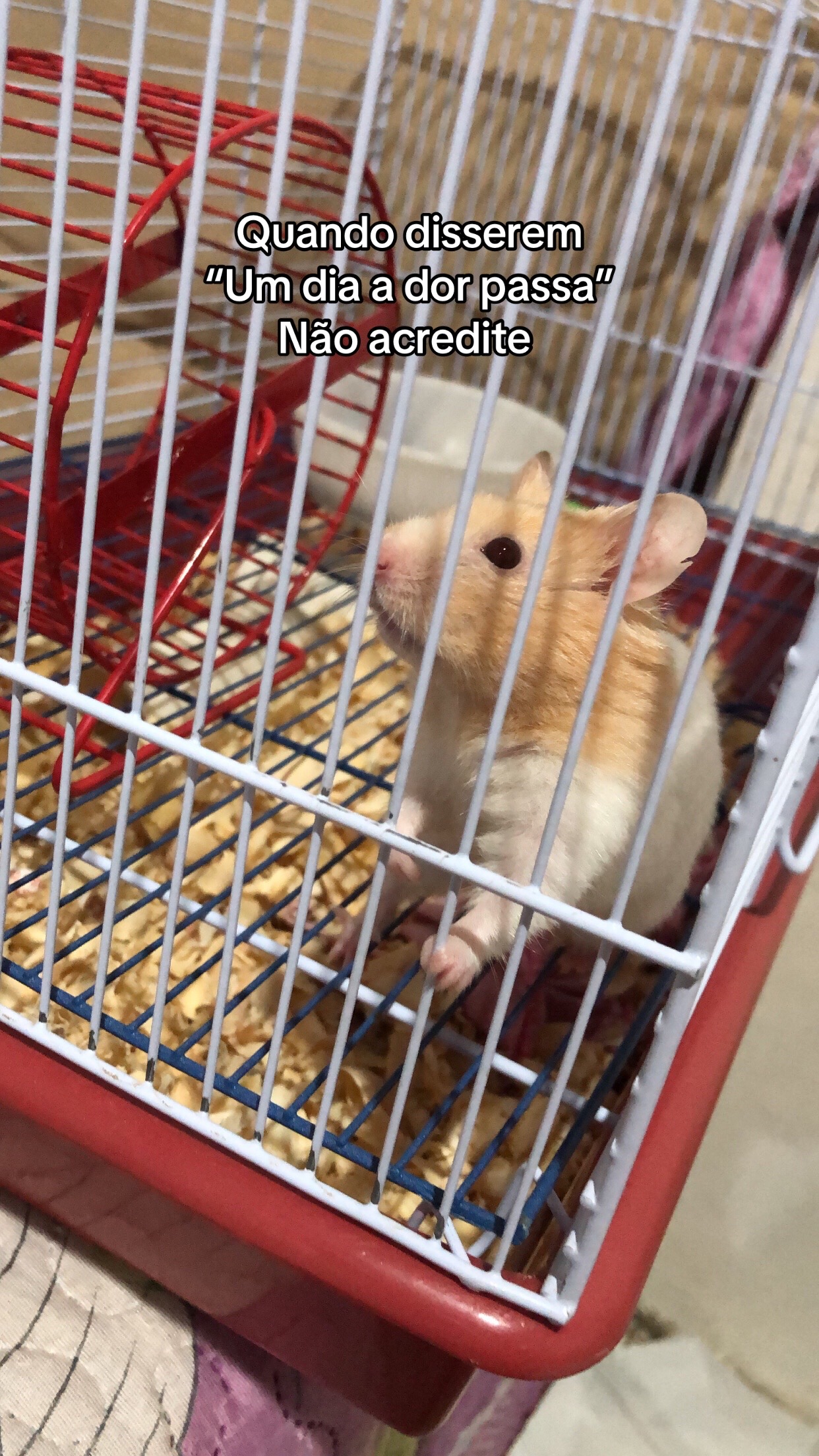 @drikinha💆🏽♀️