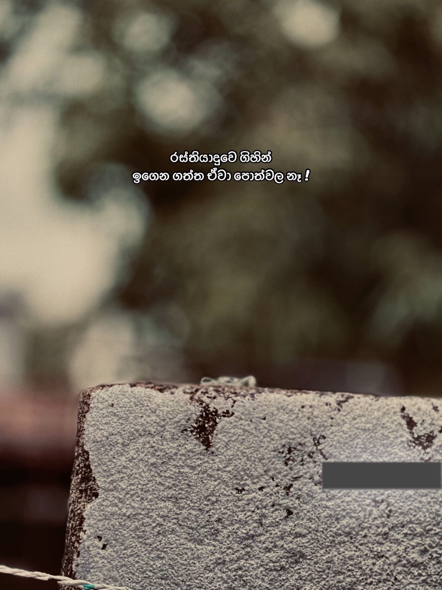 @Vɪ፝֟shu ᥫ᭡