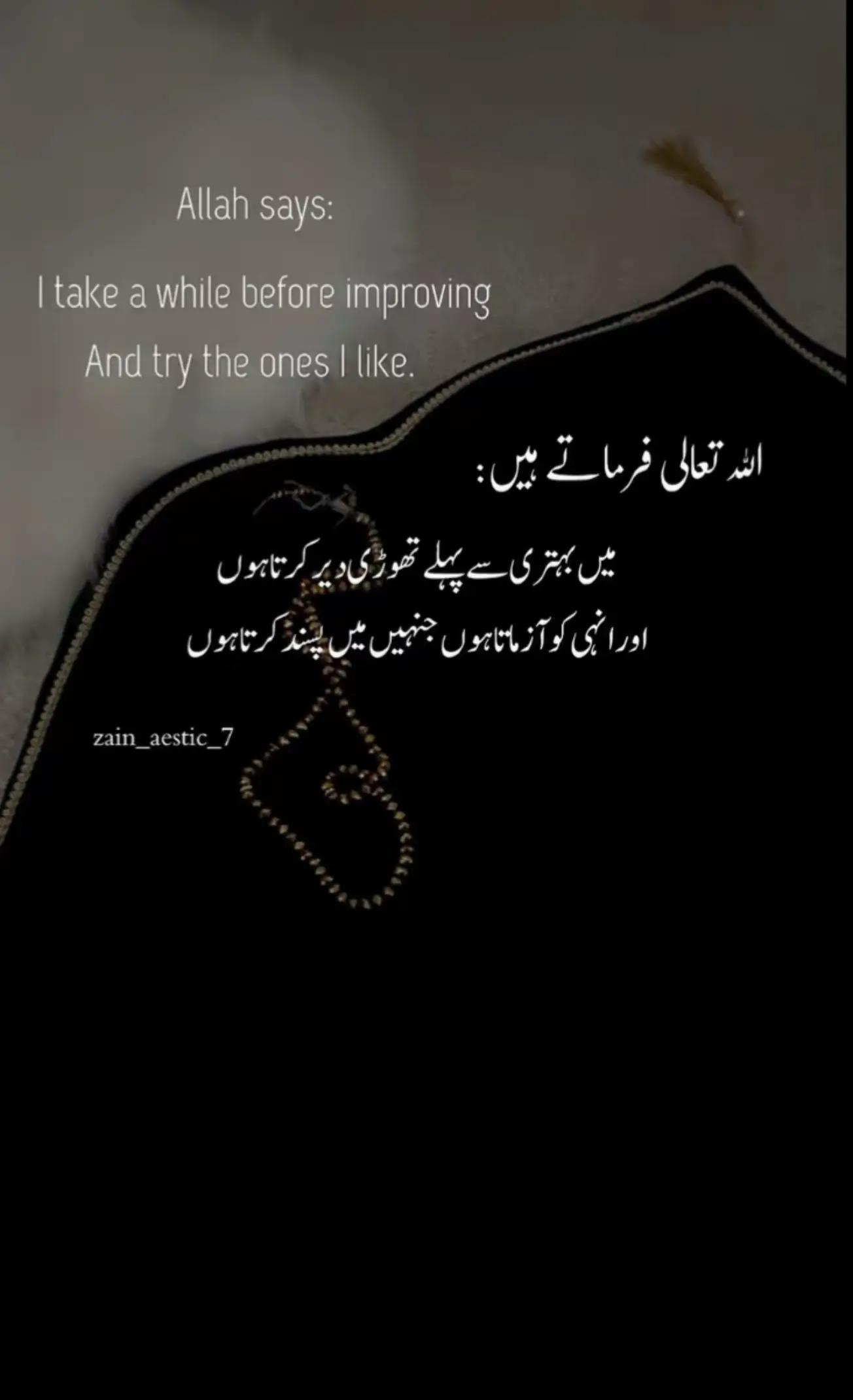 @طحہٰ بادشاہ👑