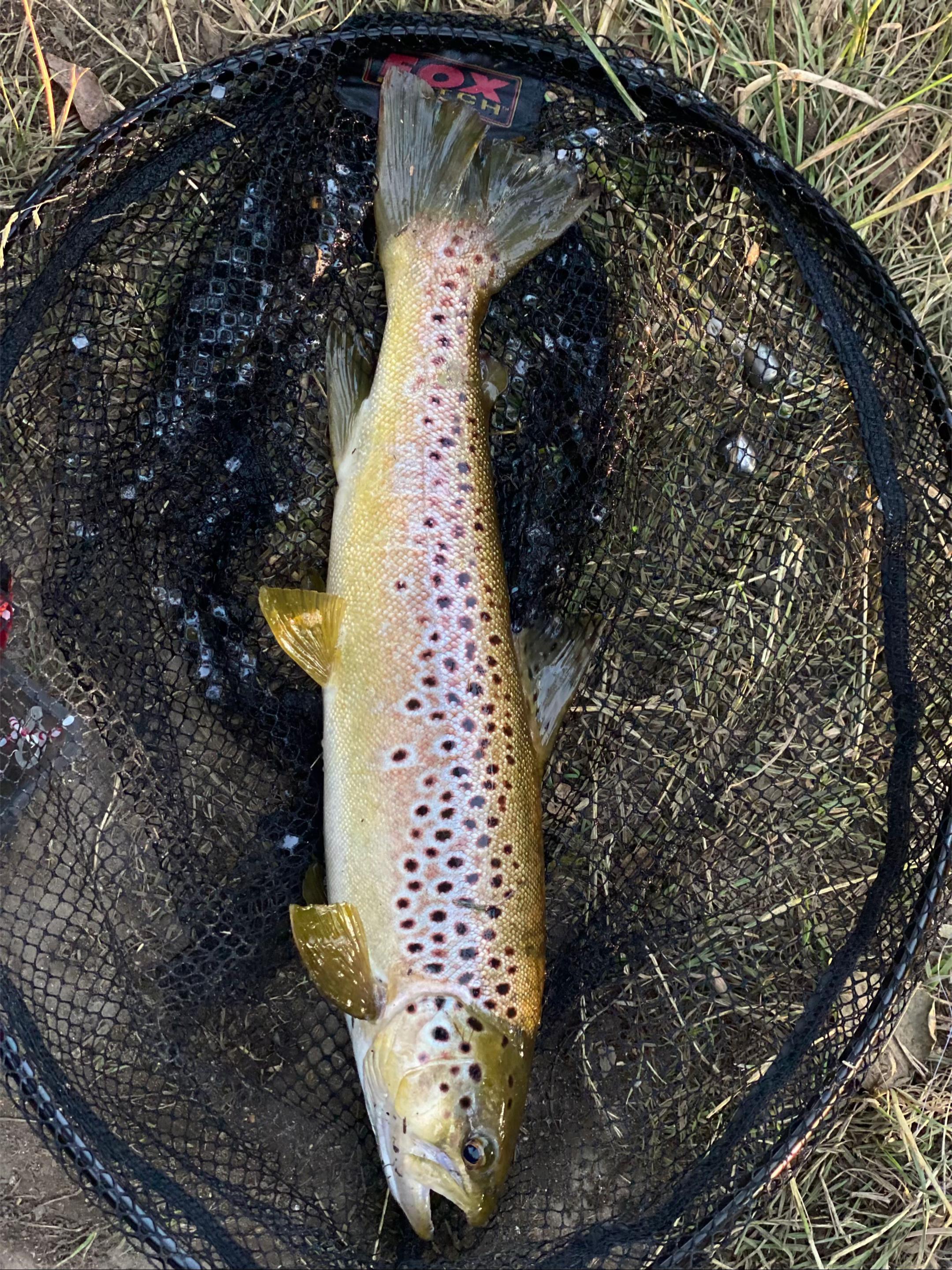 @🎣