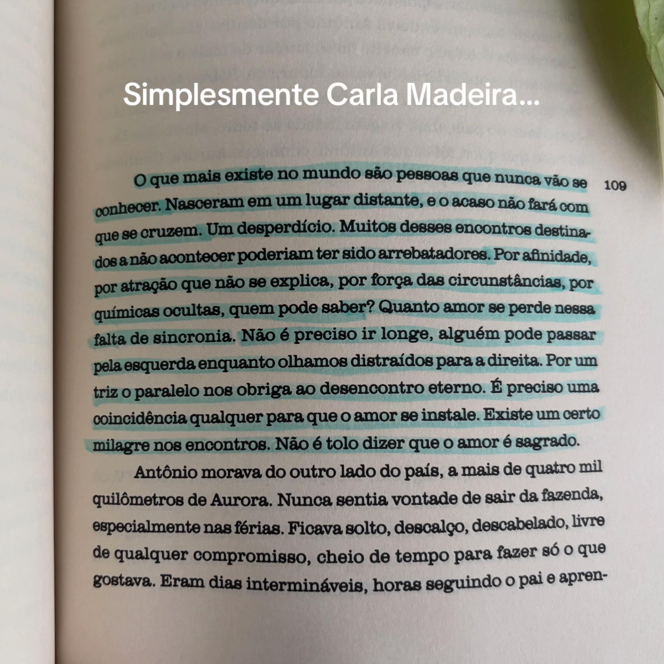 @Elisa Farias