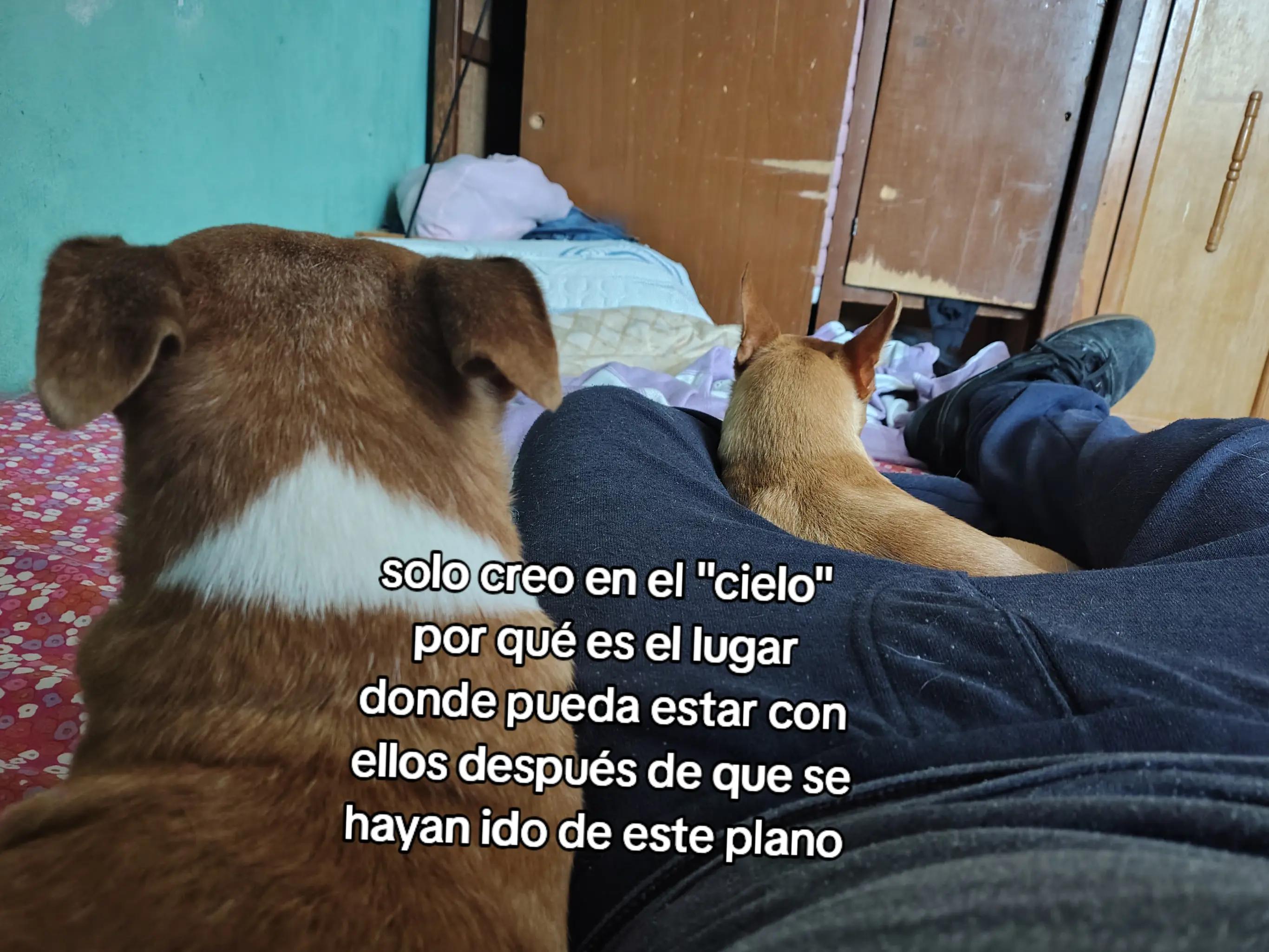 @Capitan Fantom