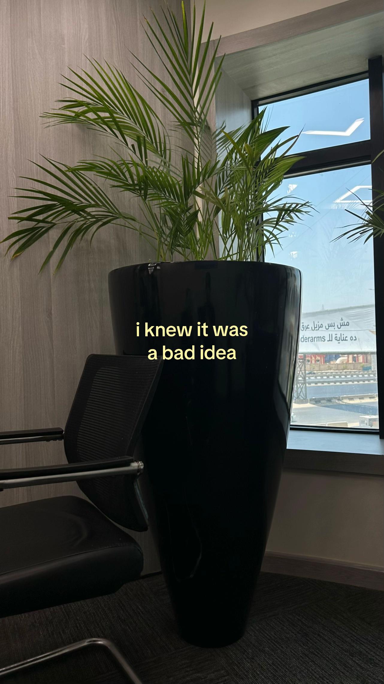 @LKLens