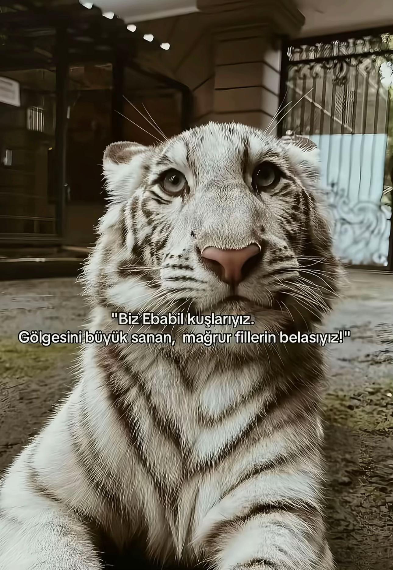 @Furkan Kaan Yılmaz