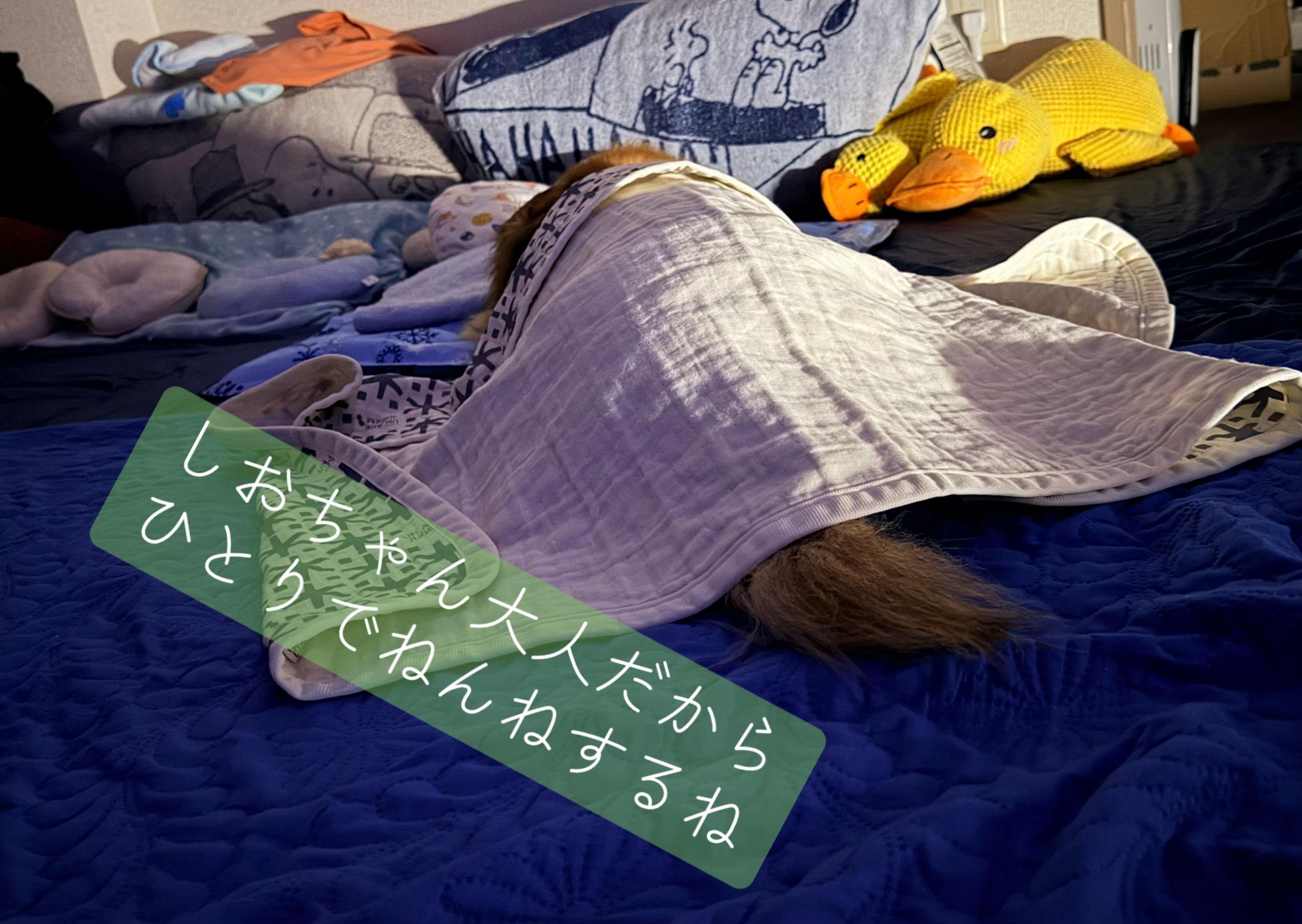 @しもひ