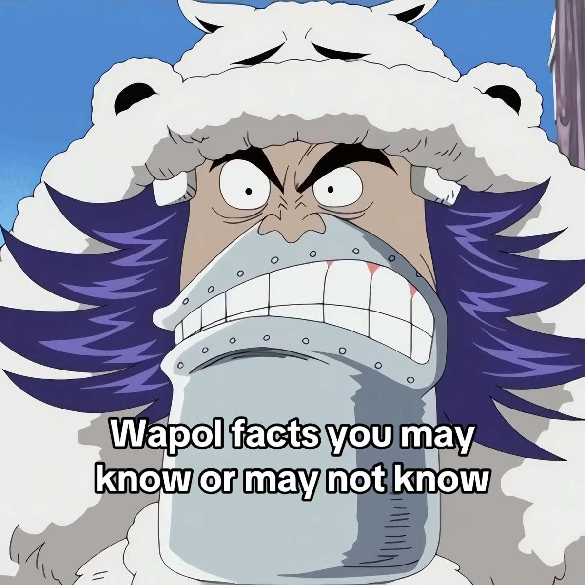 @Joy Boy