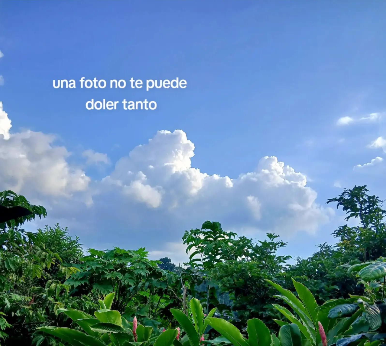 @🩶§ >Jaime<§🩶