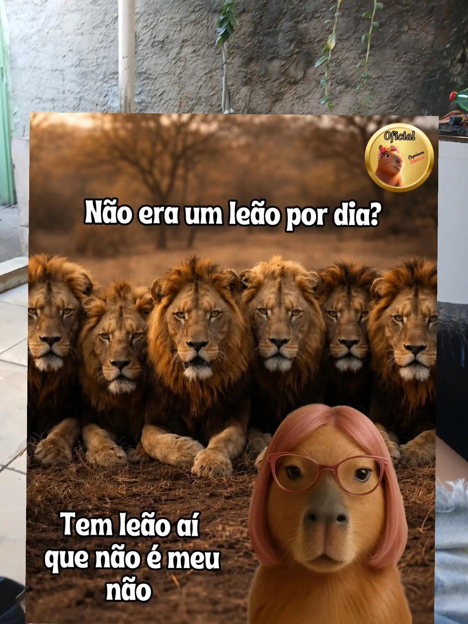 @Celiane