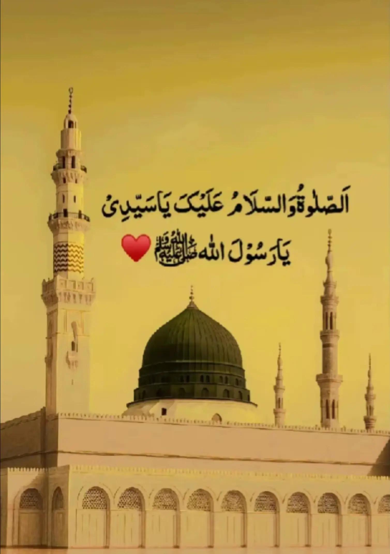 @طحہٰ بادشاہ👑