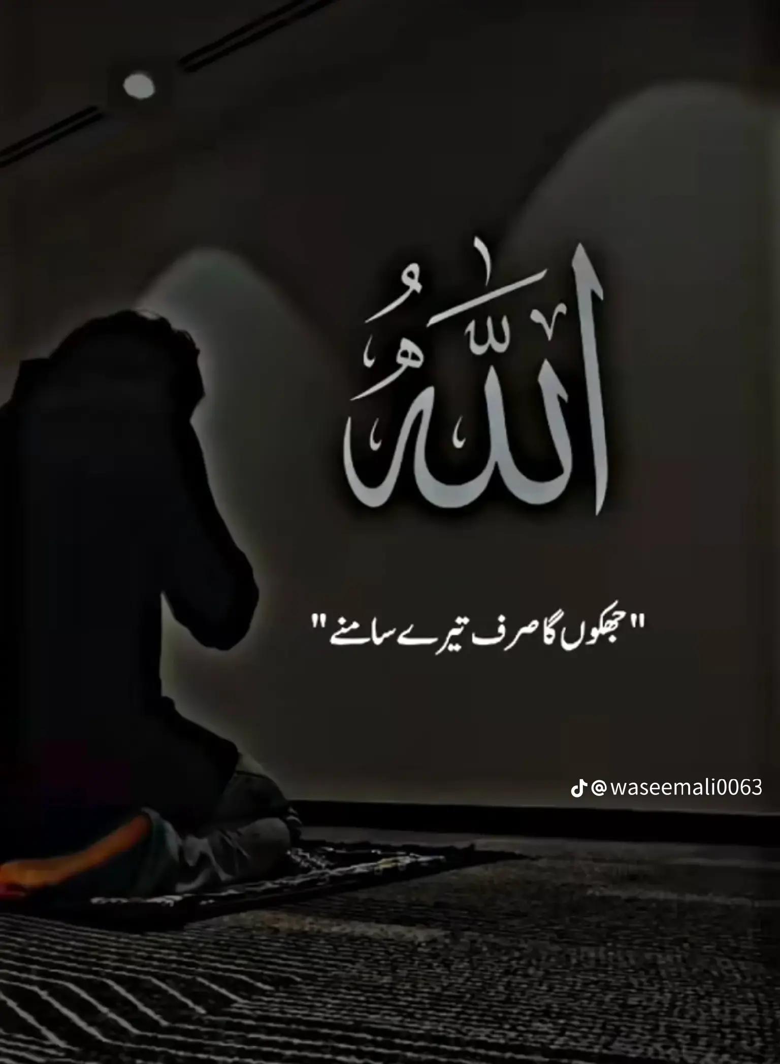 @Kot Mehmood❤️😍😍