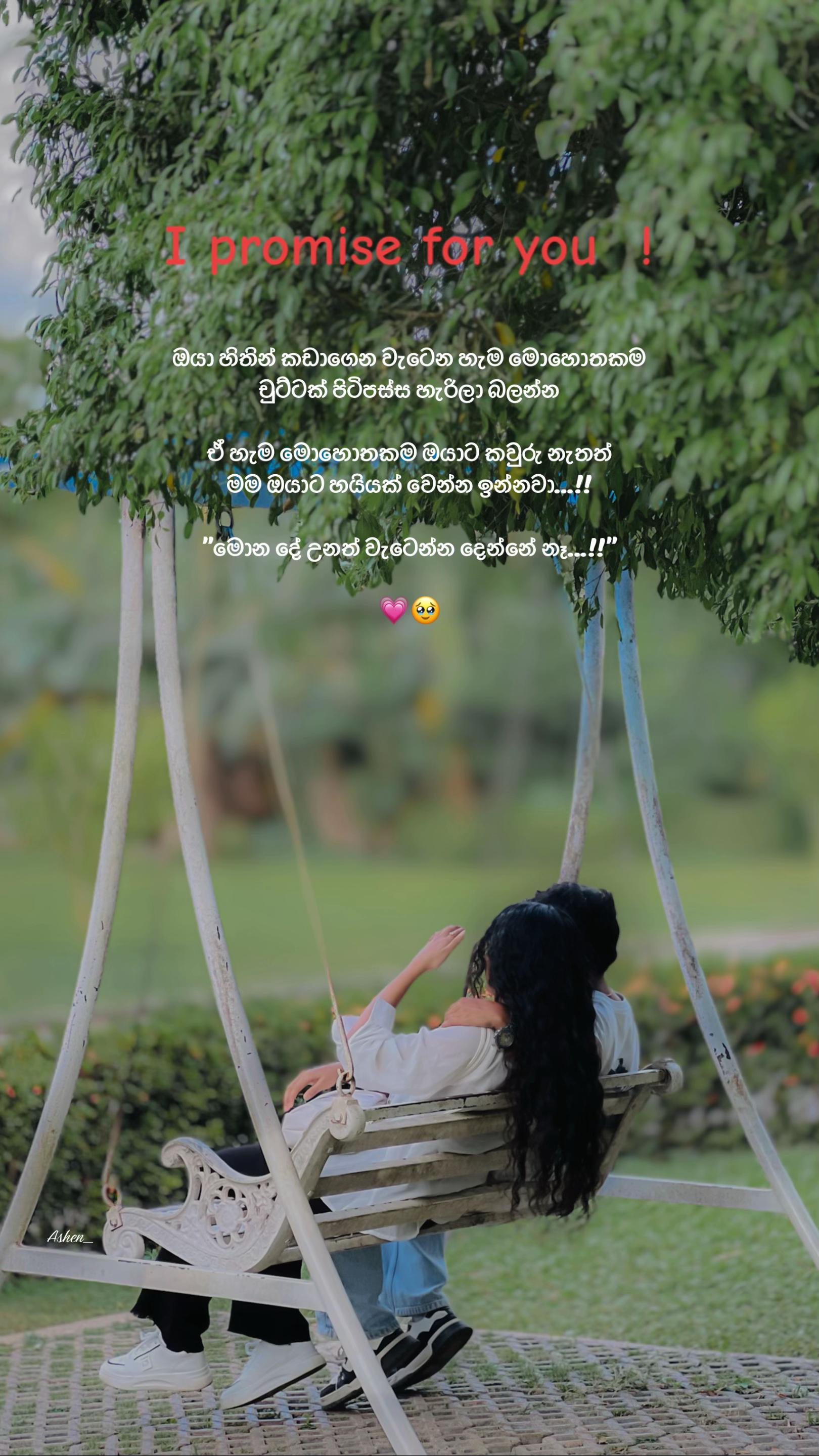 @Ash 🐬"