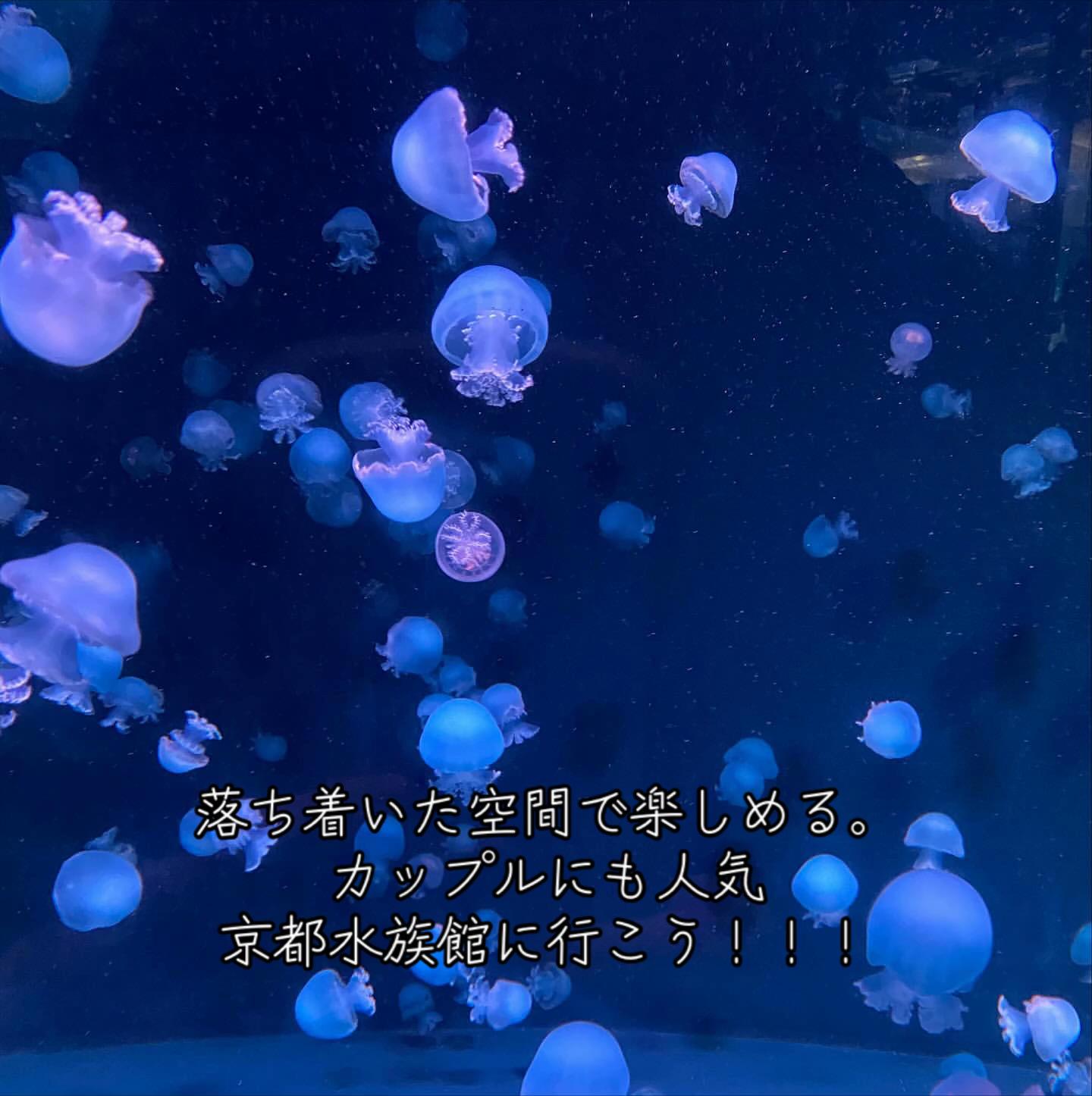 @闇夜の夜更かしバリトン