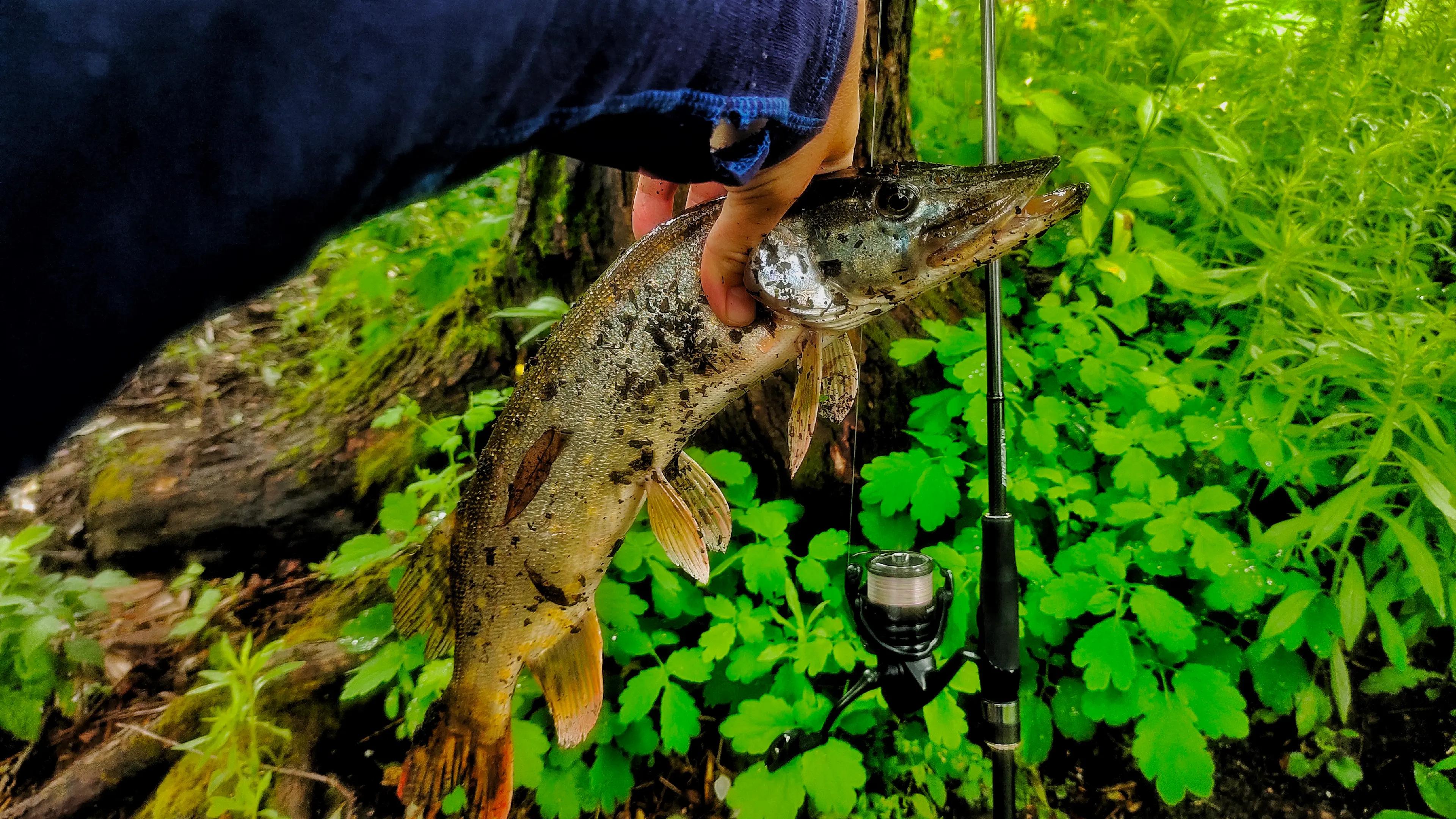 @hot_baits