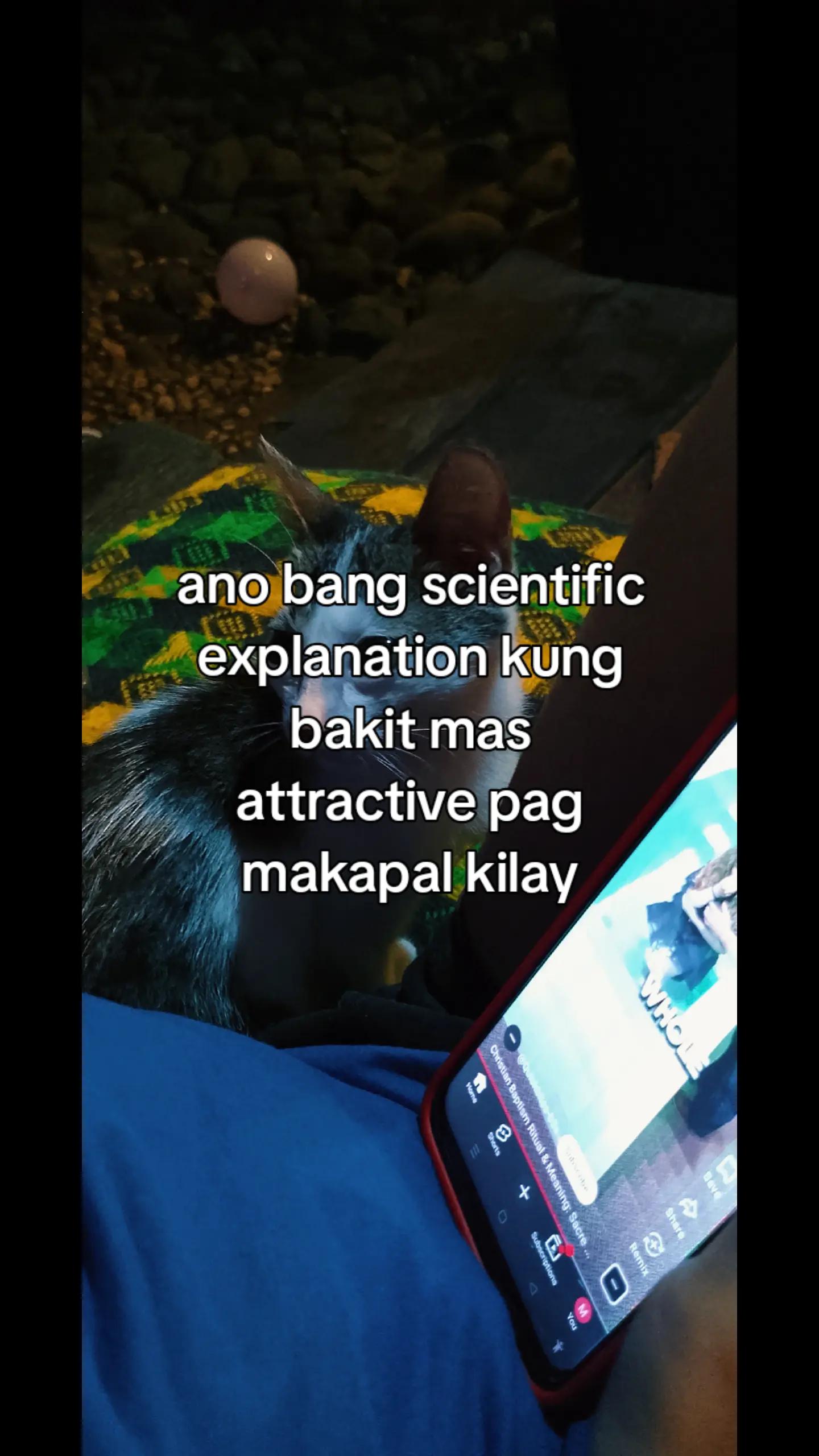 @Matchaaaaaaaa🍵