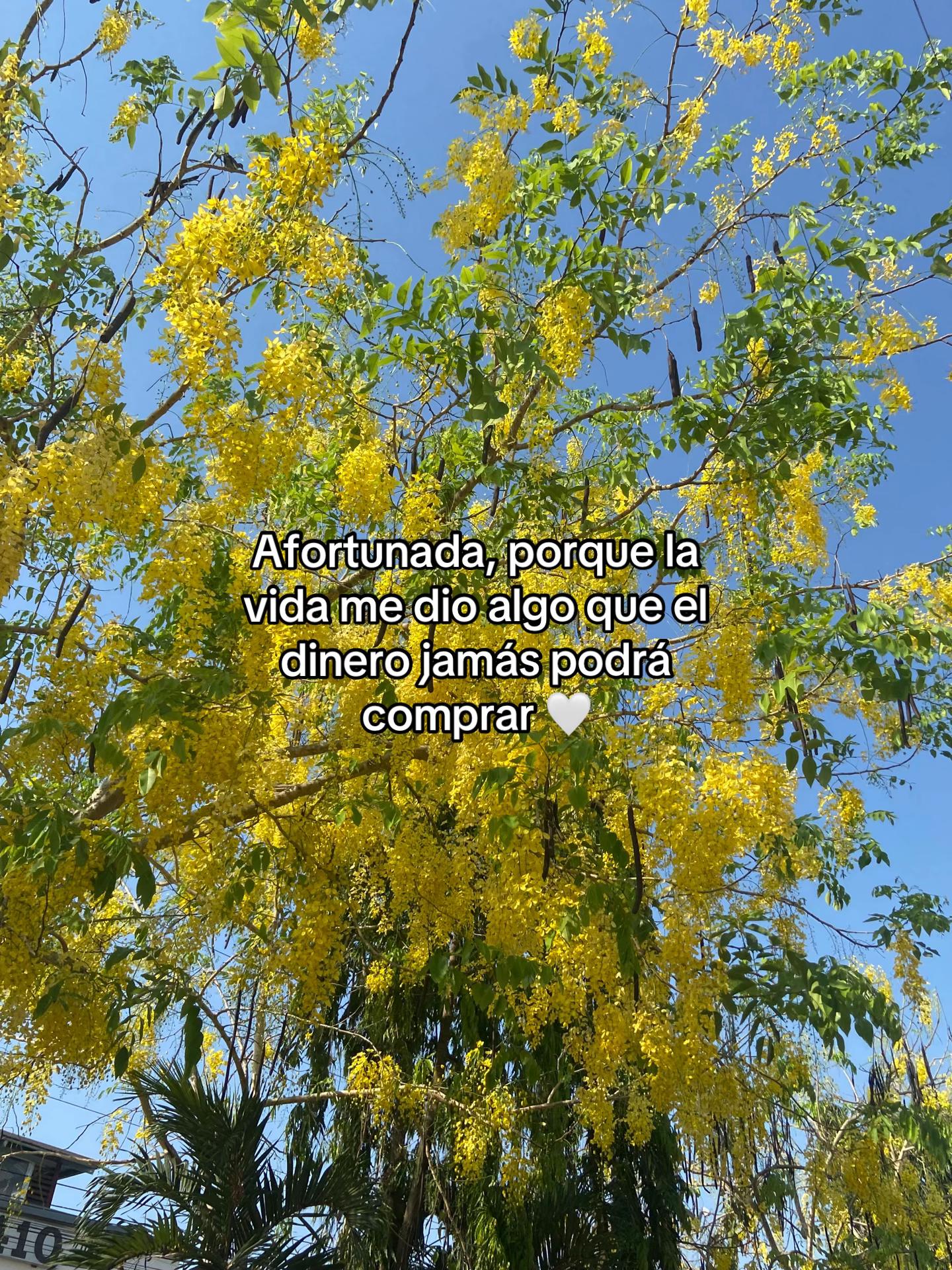 @Julissa Marroquin 🤍