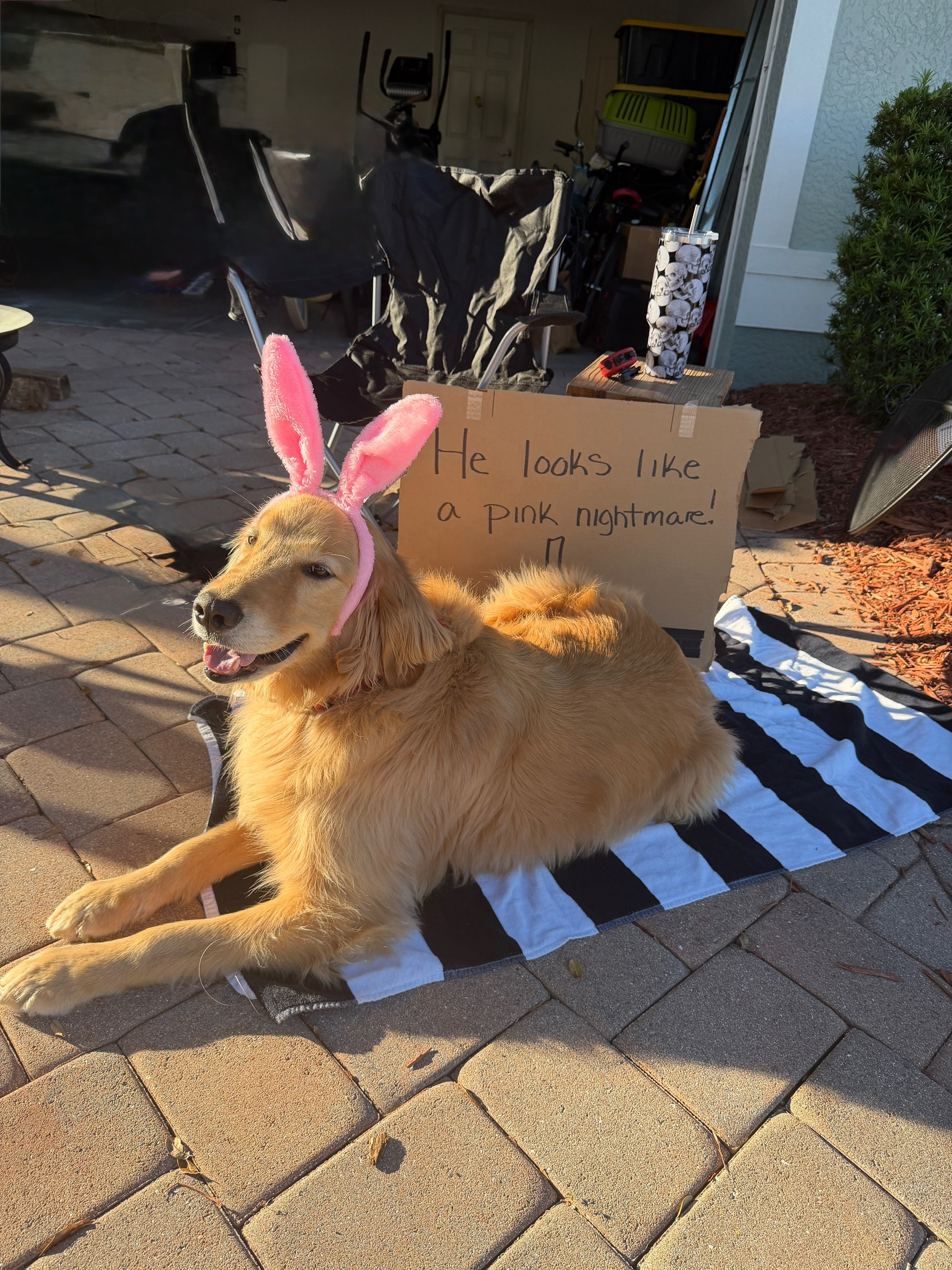 @Prosthetically_Feral