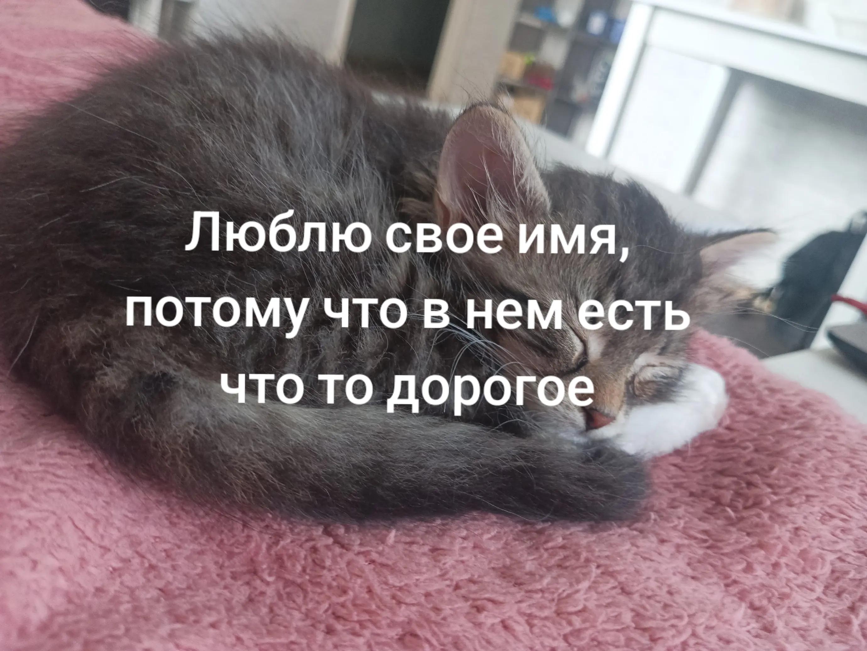 @Ozon рулит😜