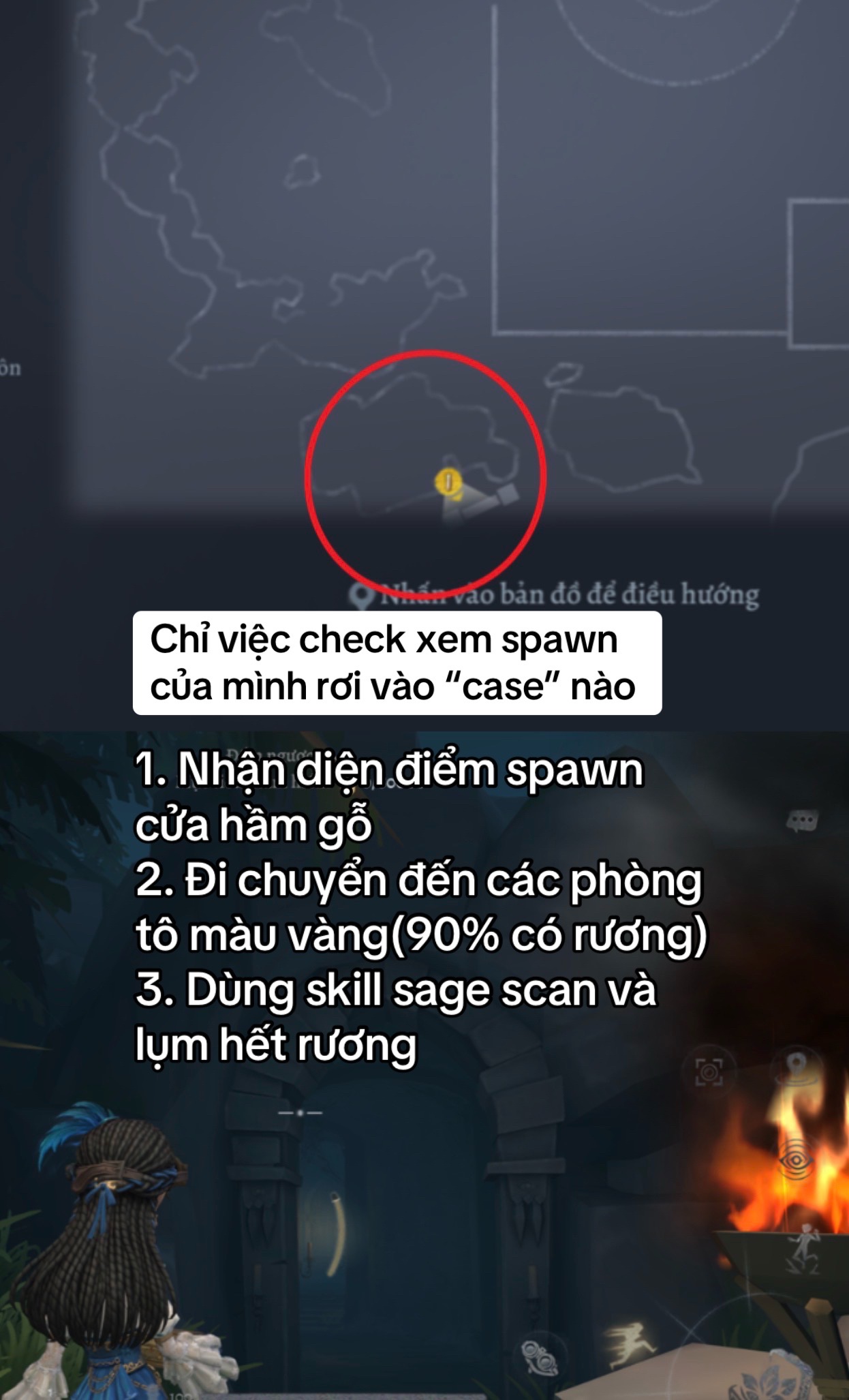 @ChitSimpQi