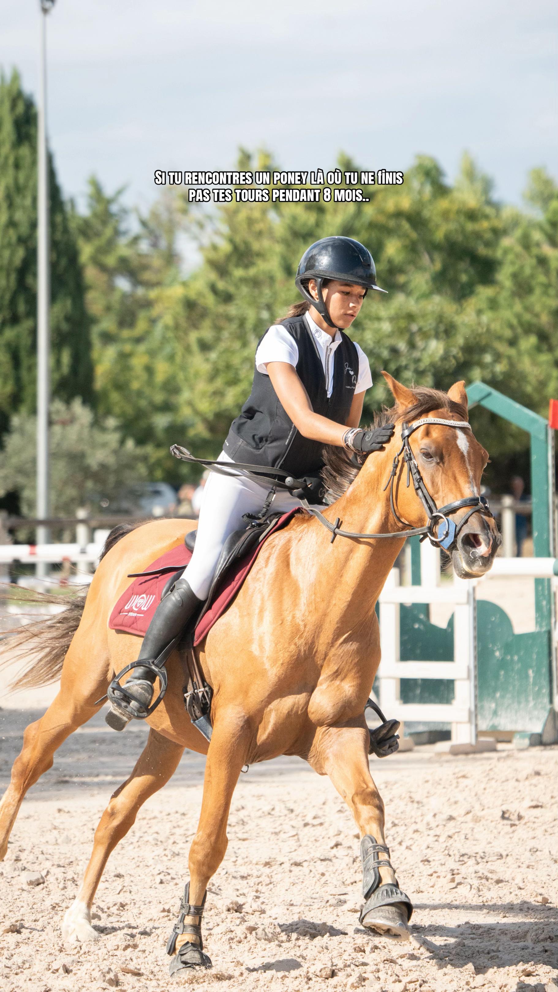 @Le poney qui salut les jurys✨