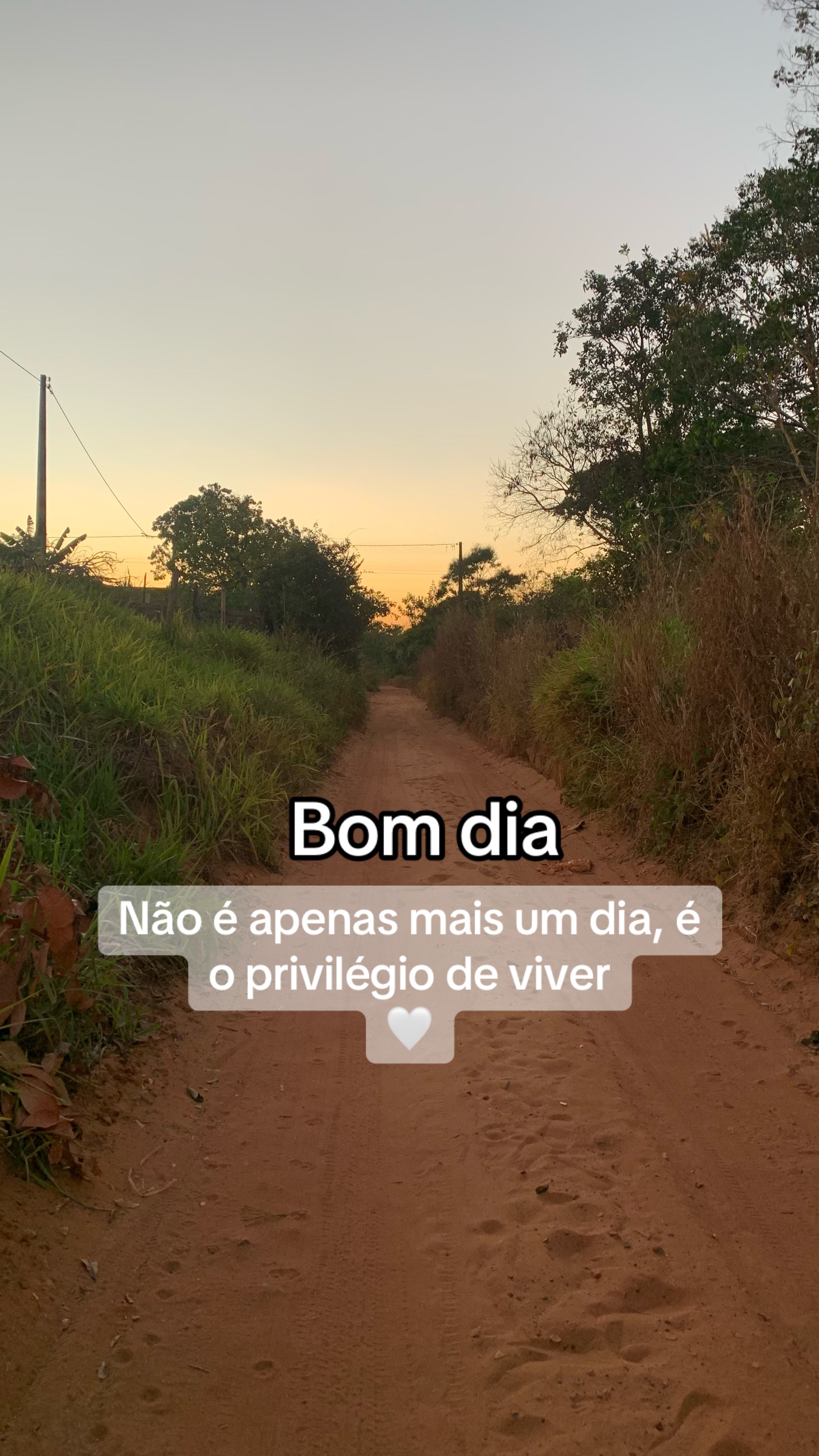 @Entre Laços